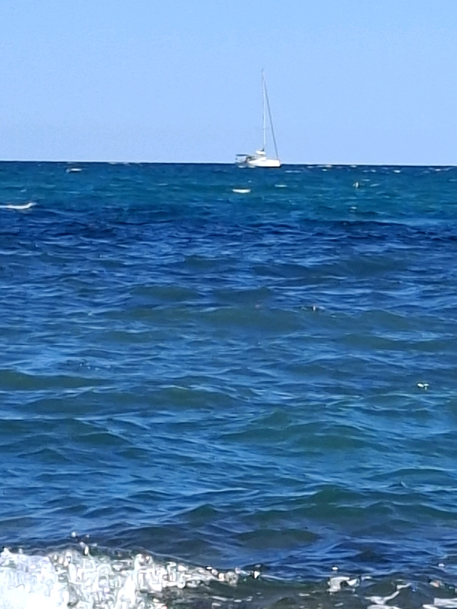The image shows a bright, clear blue sky above a calm, dark blue sea. A white sailboat with a single mast is visible in the distance, centered on the horizon. The water exhibits a gentle chop, with small whitecaps appearing closer to the foreground. The bottom of the image features a white, foamy wave breaking. The scene appears to be a coastal view in Torrevieja, Spain, likely from a beach or pier. There are no people or animals visible in the frame.