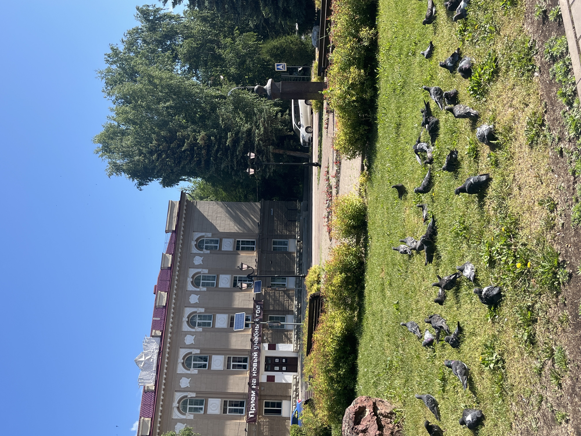 The image shows a building with a banner that reads "Прием на новый учебный год" (Admission for the new academic year) and a blue sign with a white cross and a blue circle. There are two solar panels on the building. In front of the building, there is a lawn with many pigeons. There are also bushes, trees, a lamppost, a bench, and a bust on a pedestal. In the background, a white van is parked on the street. The sky is blue and clear.