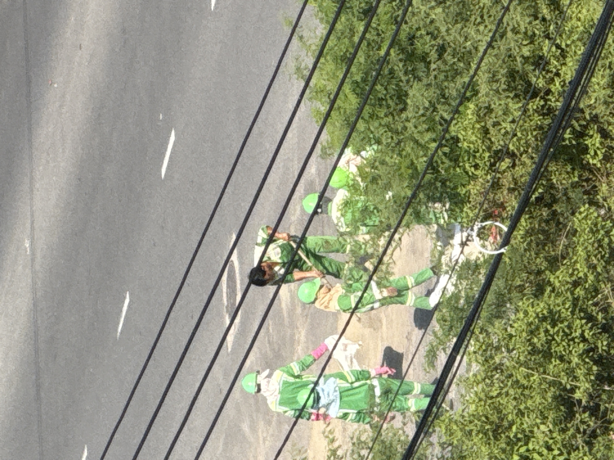 In the city of Bac Nha Trang Ward, Vietnam, four individuals, presumably sanitation workers, are engaged in work on or near a roadway. They are all wearing matching green uniforms and helmets. Two individuals in the foreground are facing away from the camera, one of whom appears to be handling a white cloth or bag. The third individual, also in the foreground, is partially obscured by vegetation and is wearing a green helmet. The fourth individual, in the background, is bent over and appears to be using a shovel. The scene is characterized by the presence of black power lines crossing diagonally through the frame, obscuring parts of the roadway and the workers. Lush green trees and foliage are visible in the lower portion of the image. The road itself is paved and shows faint white lane markings.