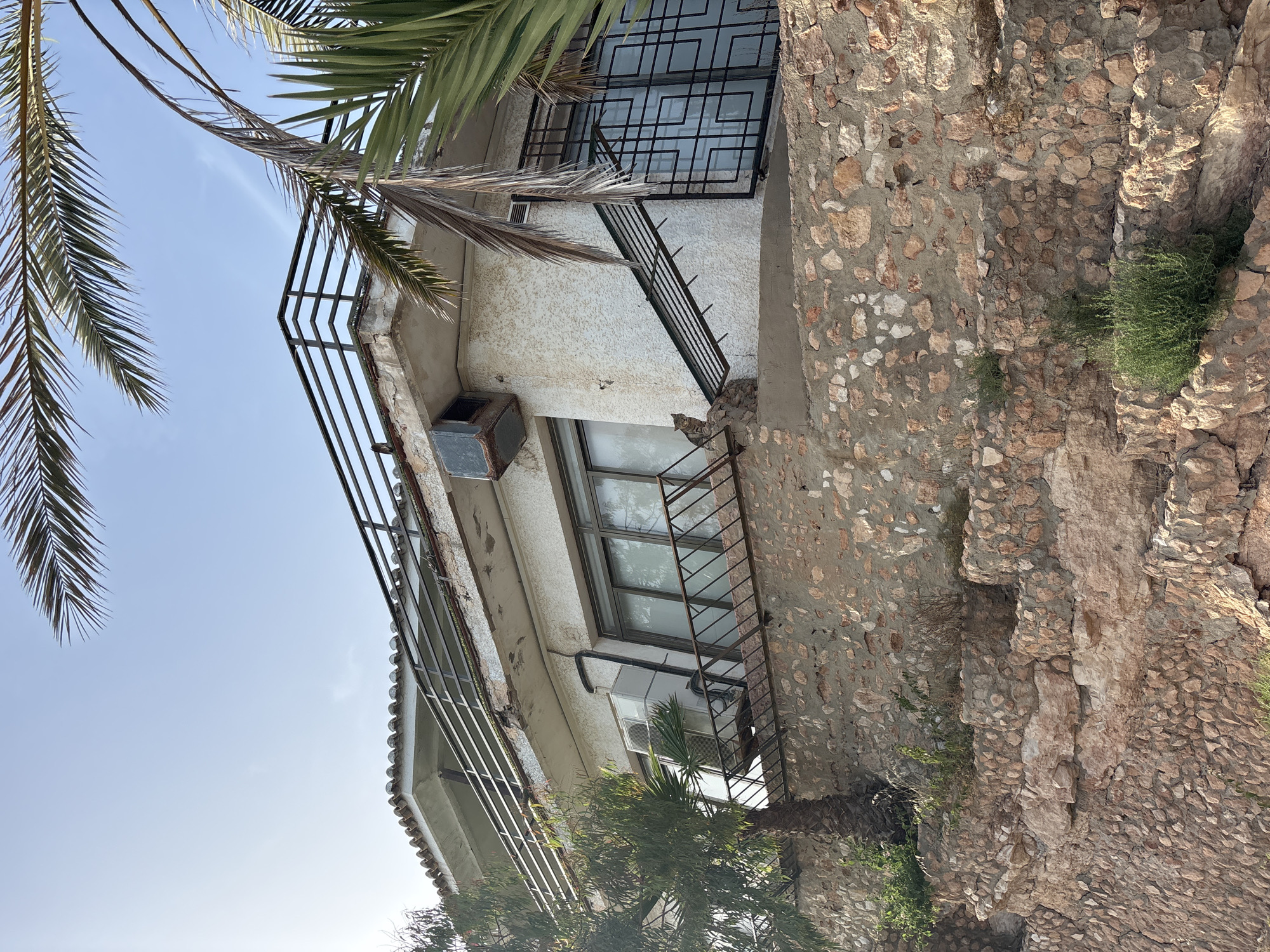 An outdoor, low-angle shot captures a stone-terraced hillside with a two-story building constructed on top. The building is rendered in a textured, off-white stucco and features a covered balcony with a metal railing and an outdoor air conditioning unit mounted on its exterior wall. A small, brown and grey tabby cat sits on the balcony's edge, looking towards the right. Palm fronds from two trees overhang the scene from the upper right and left. The lower portion of the image shows a rustic retaining wall made of various sizes of rough-cut stones and mortar, with sparse vegetation growing between the stones. The sky above is clear and light blue. The image appears to be taken in Orihuela, Spain, judging by the architectural style and vegetation.