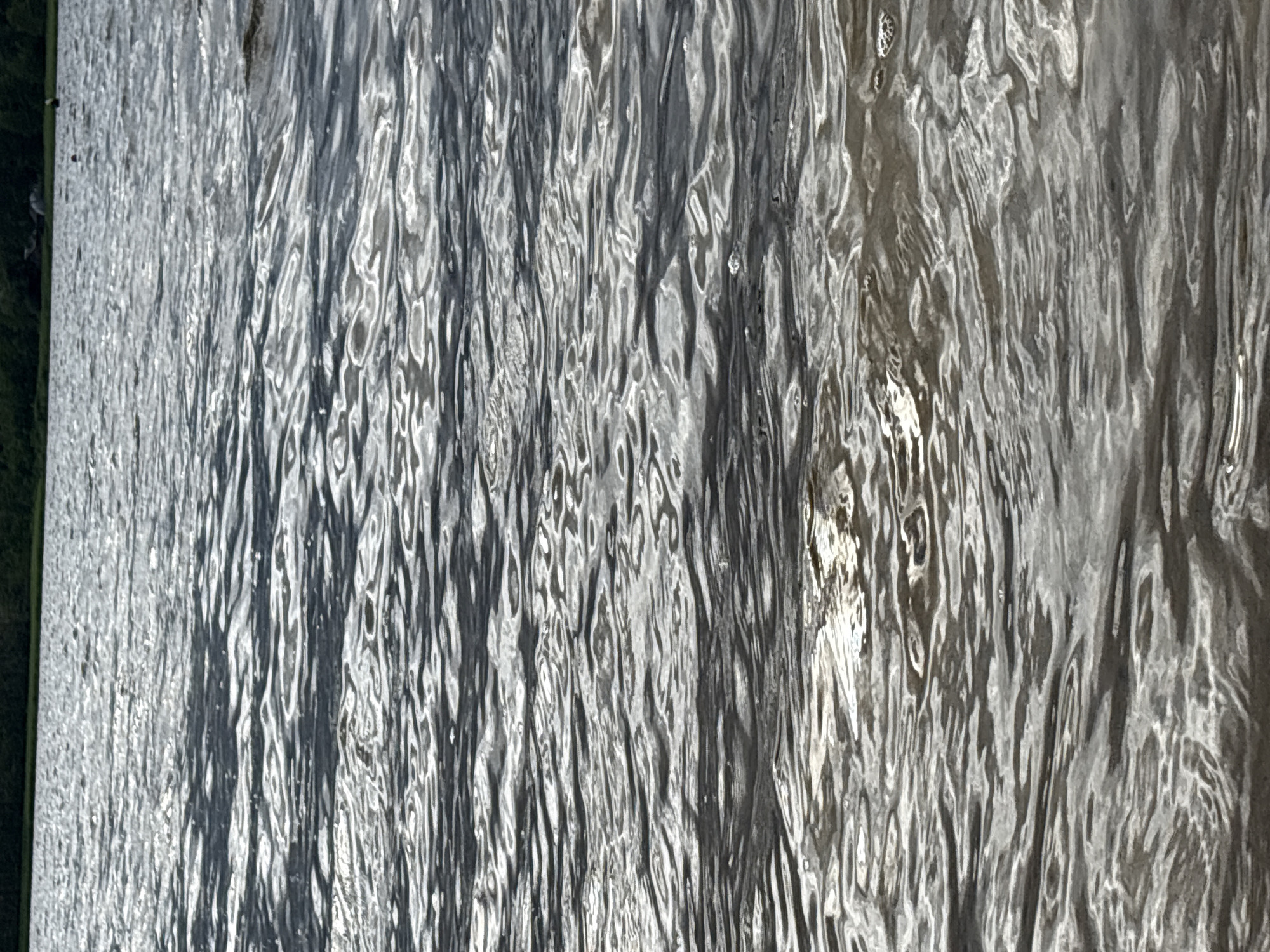 The image shows a body of water, likely a lake or a large river, with ripples on its surface reflecting sunlight. In the distance, a dark green treeline is visible along the horizon, suggesting a natural or semi-natural environment. The water is calm with gentle waves. There are no people or specific objects clearly identifiable in the foreground, focusing instead on the texture and movement of the water. The scene appears to be an outdoor, natural setting.