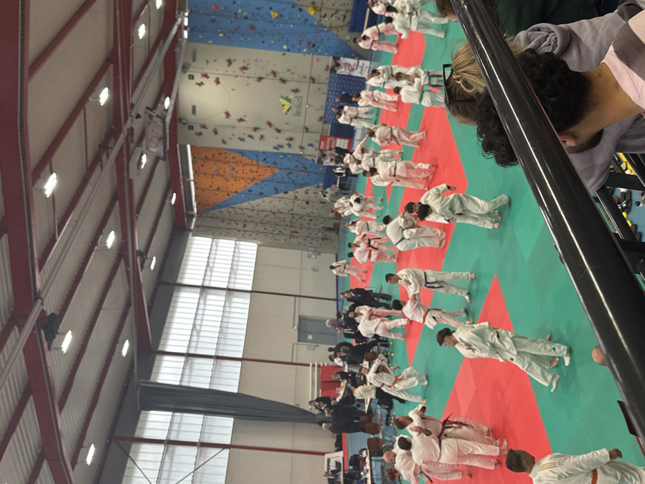 This image depicts an active indoor sports hall located in Brumath, France, specifically a facility featuring large climbing walls. The central area is dominated by a large martial arts mat, approximately 20x30 meters, segmented into alternating red and green squares. On this mat, an estimated 50-70 individuals, primarily wearing white martial arts gi (judogi), are paired off and engaged in various grappling and throwing techniques. Some participants wear colored belts, including orange, green, blue, and black, indicating different ranks.
To the left of the mat, a group of approximately 15-20 adults, some in suits, are gathered near tables, appearing to function as officials or coaches overseeing the activities. The background on the right side of the hall features three prominent indoor climbing walls with various handholds and routes; one wall displays a distinctive orange and blue geometric pattern, and another prominently features the "Brumath" logo.
The facility has a high, industrial-style ceiling with white corrugated panels and exposed red structural beams, illuminated by numerous linear fluorescent lights. Large, translucent windows line the upper section of the left wall, providing natural light, partially obscured by a dark grey curtain. Several banners are visible near the climbing walls, including one red and white banner and another featuring the Brumath logo. In the immediate foreground, a dark railing suggests an elevated viewing area from which the photograph was taken, with partial views of several spectators observing the event.