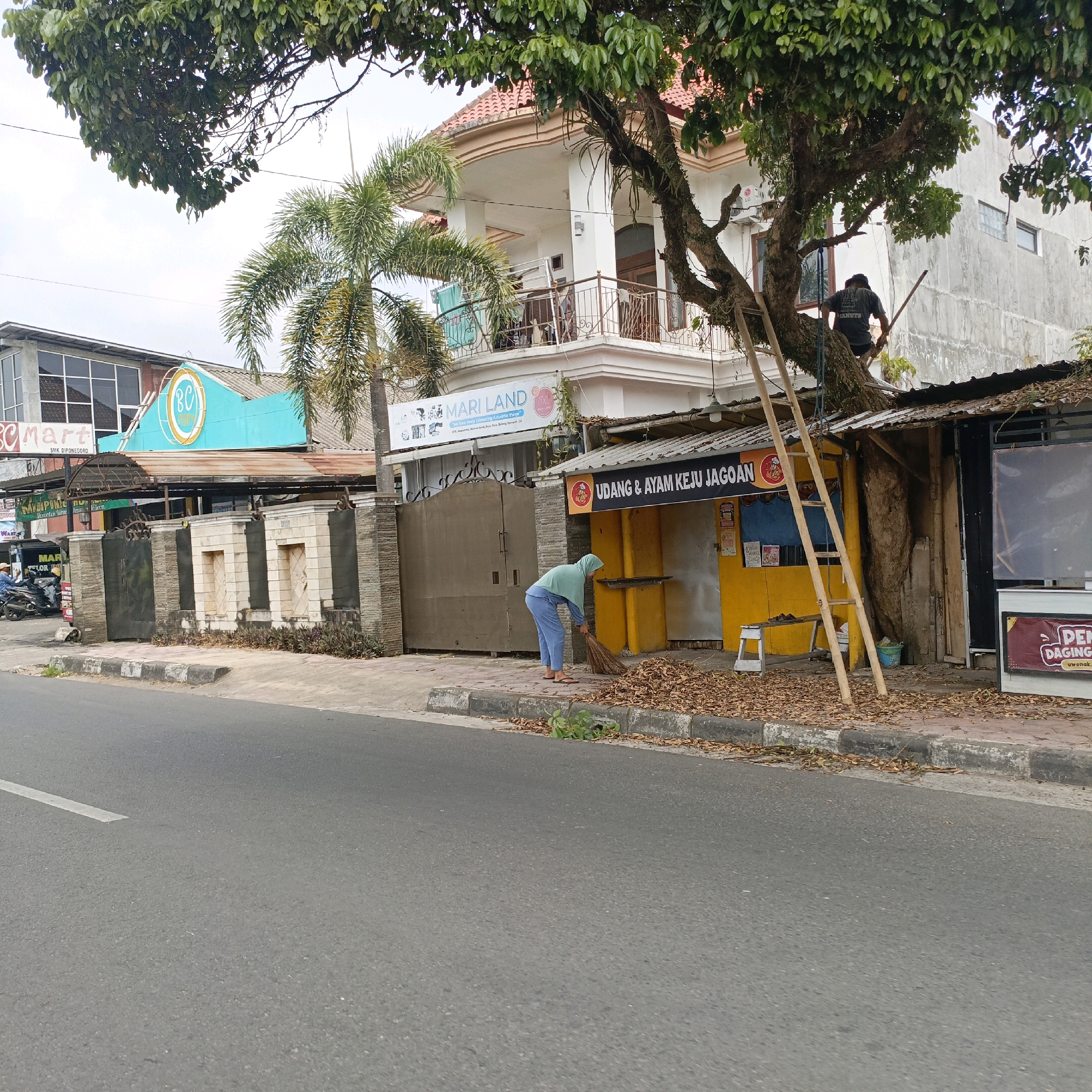 The image captures a street scene in Salatiga, Indonesia, with a focus on a small roadside food stall and its surroundings. In the foreground, a gray asphalt road with a white line is visible, bordered by a gray concrete curb. A woman wearing a light blue headscarf and light blue pants is sweeping dry leaves with a broom on the sidewalk in front of a yellow food stall. The stall has a sign that reads "UDANG & AYAM KEJU JAGOAN" (Shrimp & Chicken Cheese Champion). Above the stall, a large tree with green leaves partially obscures the view of a white building with a balcony, and a glimpse of a palm tree. Two individuals are visible in the tree branches, one higher up and another on a ladder. Behind the food stall, wooden planks and a blue bucket are visible. To the left of the food stall, a fence with stone pillars and metal gates separates the sidewalk from a building complex that includes a structure with a turquoise sign displaying "BC" inside a circle. Further left, a motorcycle is parked on the side of the road. The sky is overcast.