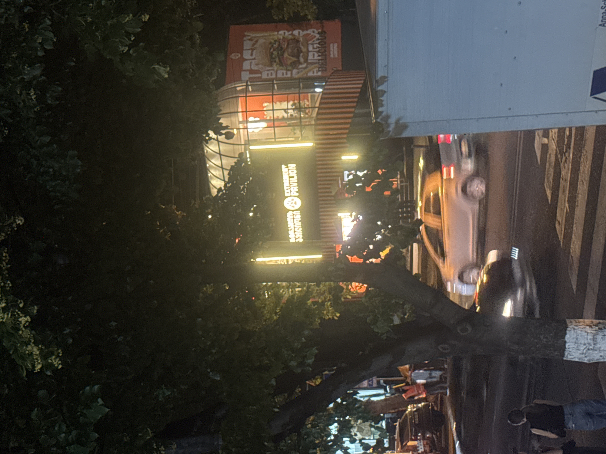 The image depicts a street scene at night in Tbilisi, Georgia, featuring a Burger Brothers establishment with a distinctive dome-shaped pavilion and bright neon lighting. A large billboard advertising a burger is prominently displayed. Several vehicles, including a silver car and a black car, are visible on the street, some in motion. Pedestrians are present on the sidewalk, with one woman in the foreground wearing a black top and jeans. A large tree with dark leaves partially obscures the view of the building and street. The overall atmosphere is that of a bustling urban environment at night.