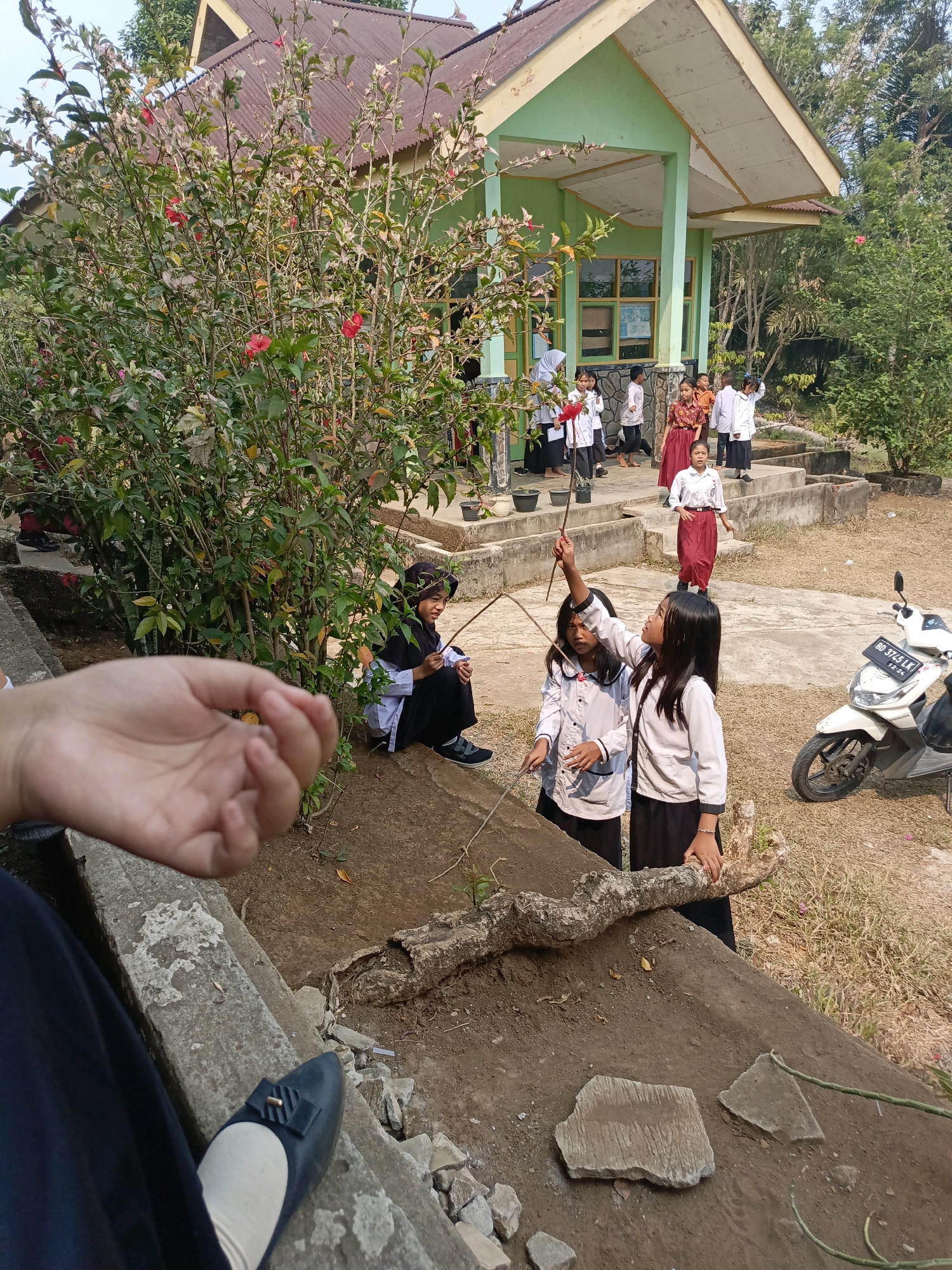 Memory