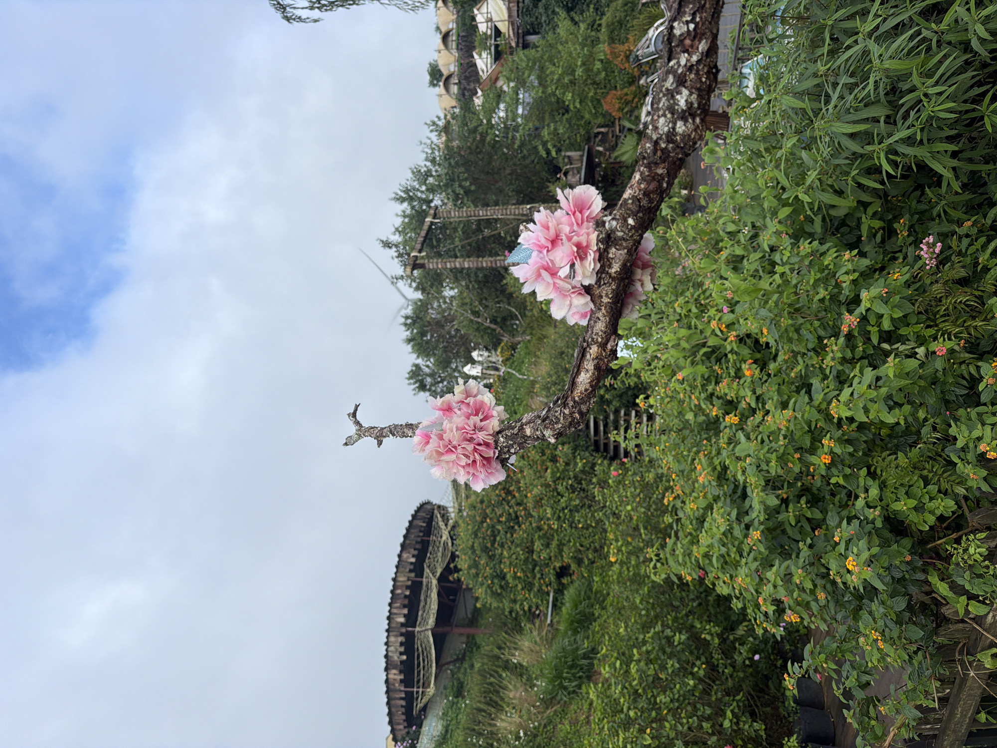 This is a medium shot image of a gnarled tree branch with clusters of artificial pink flowers attached, positioned in the foreground against a backdrop of lush greenery and a cloudy sky. In the mid-ground, a hillside is covered with dense vegetation, dotted with small orange and pink flowers. Further back, a circular wooden structure with a thatched roof and netting details is visible on the left side of the frame, perched on the slope. The background features a dense forest with several buildings constructed in a rustic, cabin-like style, with peaked roofs and wooden elements, suggesting a resort or lodging area. A wooden swing set is also visible amongst the trees. The overall impression is of an outdoor, somewhat whimsical, and natural setting, possibly a tourist attraction or park. The image does not clearly indicate the specific location within Phát Chi, Vietnam, but it depicts a hillside landscape with distinct architectural features. There are no people or animals visible in the image.