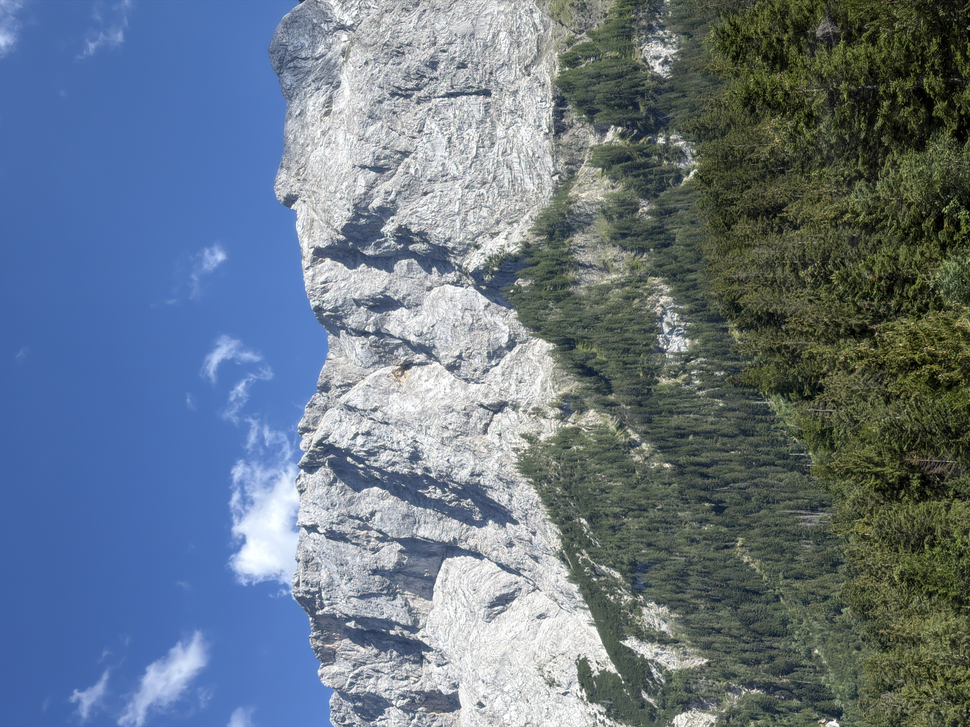 This media file depicts a mountain landscape in Grainau, Germany. The primary subjects are a sheer, grey rock face on the left and a dense forest of evergreen trees covering the slope on the right. The rock face is jagged and weathered, with shadows indicating the presence of crevices and uneven terrain. The forest is a vibrant green, appearing lush and healthy. A clear blue sky with scattered white clouds forms the backdrop, suggesting fair weather. The orientation of the image is vertical, with the mountain running from bottom to top.
There is no discernible activity or event taking place; it is a static landscape shot. Notable details include the texture of the rock, the density of the trees, and the bright sunlight illuminating the scene. The time of day appears to be daytime, likely late morning or early afternoon, given the angle of the shadows. The location cues are limited to the provided context of Grainau, Germany. No people, objects, or visible text are present in the image. The overall impression is one of natural grandeur and the beauty of the alpine environment.