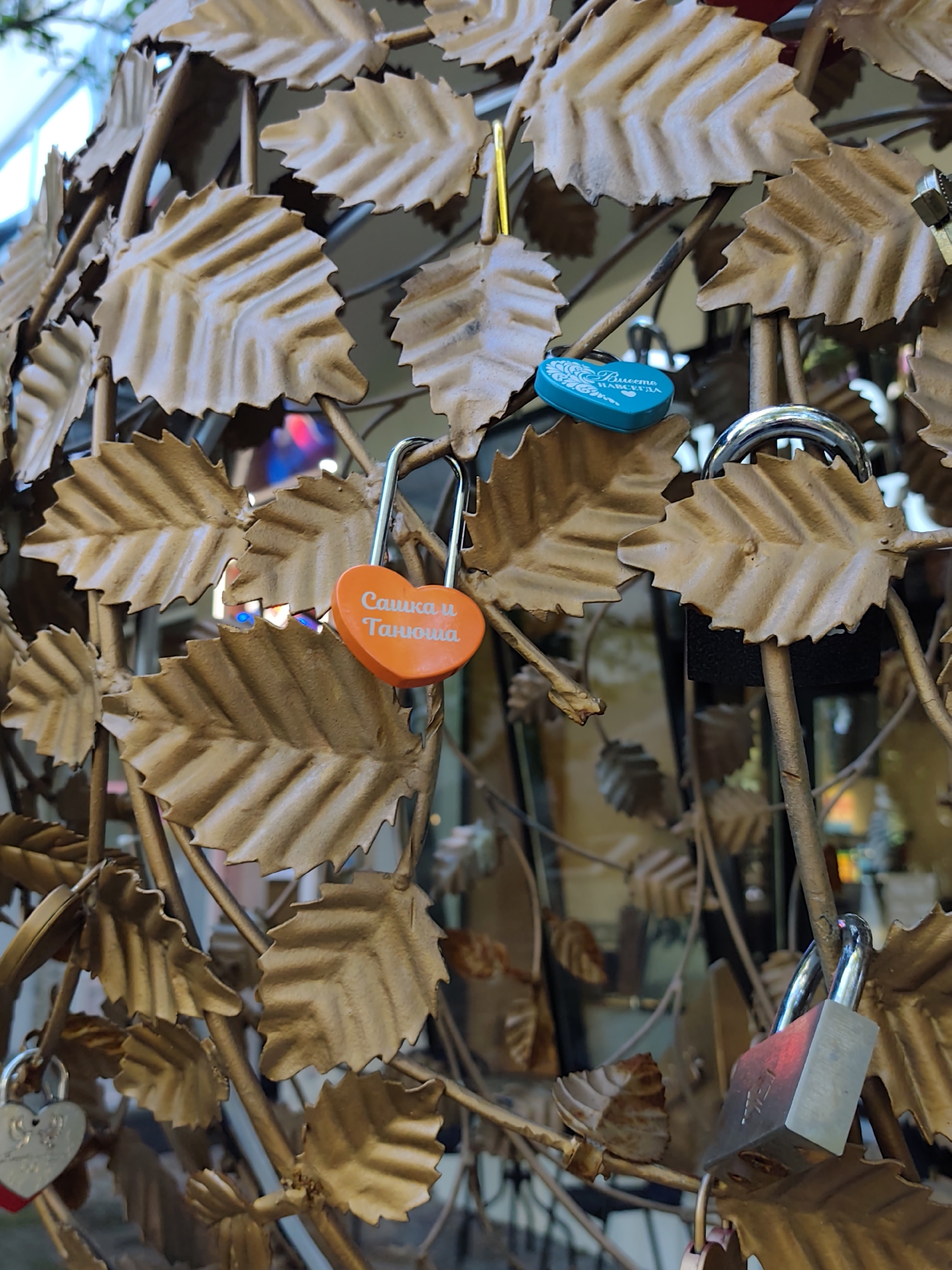 This is a close-up shot of a metal structure decorated with leaf motifs. Attached to the structure are several love locks, a common symbol of commitment. One heart-shaped orange lock in the foreground has Cyrillic writing on it that reads "Сашка и Танюша," meaning "Sashka and Tanyusha." Another blue heart-shaped lock is visible higher up and to the right, with similar Cyrillic script. A larger, rectangular silver lock is also present, partially obscured by the leaves, reflecting red light. The background is blurred, showing hints of colorful lights and structures, suggesting an urban environment.
The "Bridge of Kisses" on the promenade of the resort town of Sochi, Russia, is a well-known location where couples attach love locks to railings and sculptures. This image is consistent with the appearance of that landmark. The metal leaves on the structure in the image are a distinctive feature of the Bridge of Kisses in Sochi.