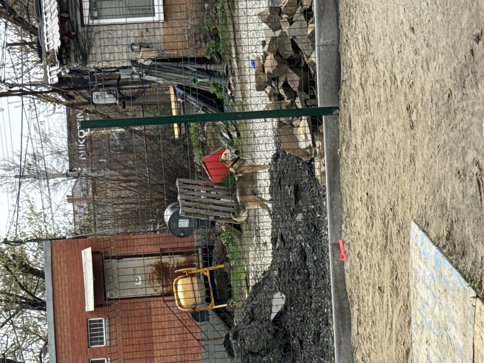 The image depicts an outdoor scene in Rostov-on-Don, Russia, showing a fenced-off area with construction debris. The fence appears to be wire mesh. Behind the fence, there is a mix of building materials and general clutter. A dog stands inside the fenced area. To the left of the fence, there are brick buildings and some bare trees. On the right side of the image, there is a dirt or gravel area. A section of plywood is visible in the foreground.