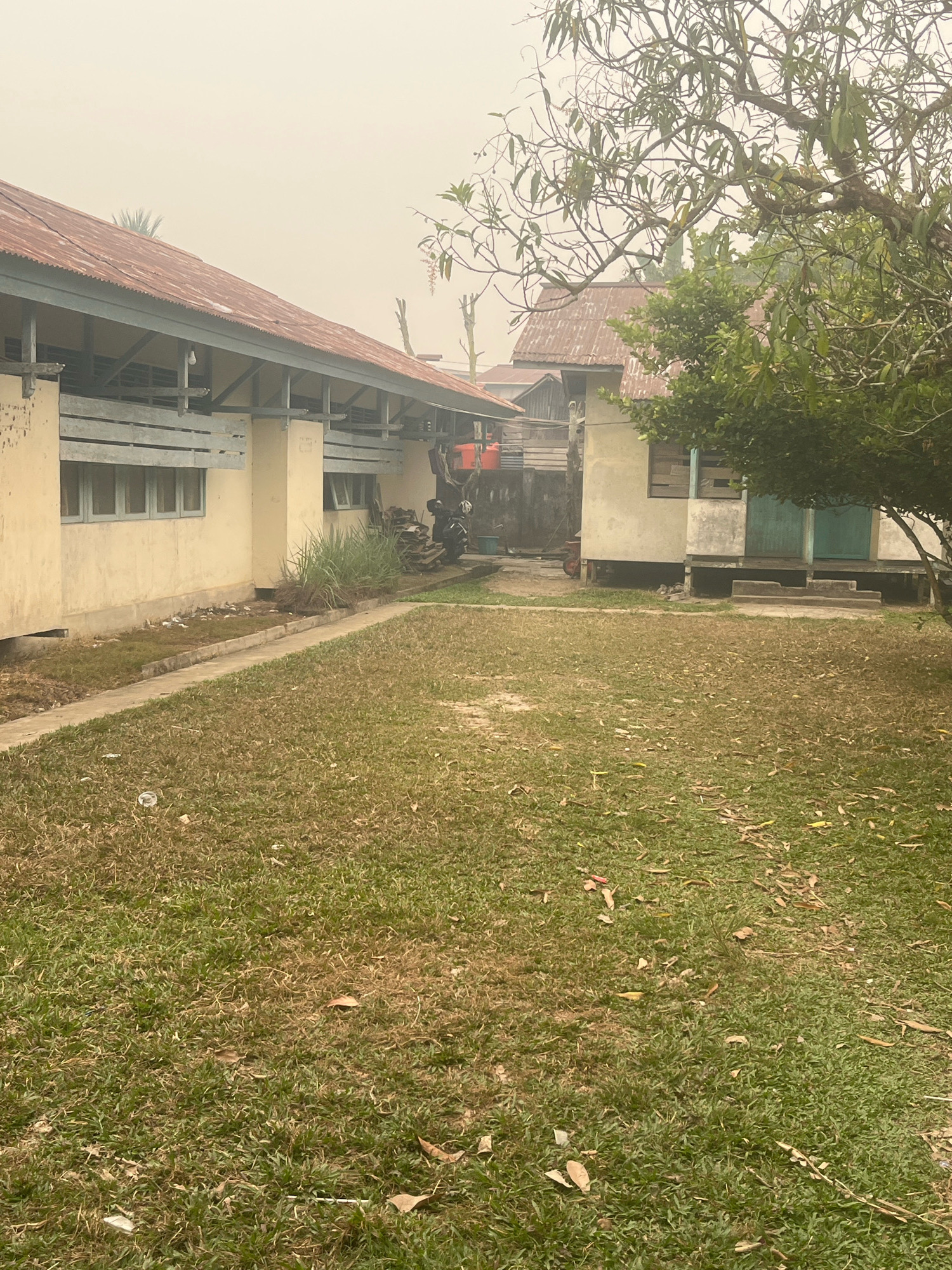 The image depicts a scene in Meliau Hulu, Indonesia, featuring two buildings and a grassy yard under a hazy sky. The building on the left is a long, single-story structure with a reddish-brown corrugated metal roof and a light yellow facade. It has a covered walkway along the front with wooden beams and horizontal planks, and windows with light blue frames. A concrete pathway runs along the front of this building, bordering a strip of sparse, dry grass and some debris. To the right of this pathway, the ground is covered in patchy green grass with fallen leaves and some litter.
Adjacent to the left building, further back, is another smaller structure with a similar reddish-brown corrugated metal roof and a light yellow facade. This building is elevated on stilts, with a concrete set of steps leading up to two doors, one painted teal and the other appearing to be boarded up. Overgrown vegetation, including tall grasses, is visible between the two buildings.
In the background, a large tree with dense green foliage dominates the right side of the frame, obscuring parts of the structures and the sky. The overall atmosphere is somewhat muted, likely due to smoke or haze. A motorcycle is parked near the right side of the left building, along with a pile of dark material, possibly firewood or construction debris. The ground in the foreground is predominantly grass, with areas of dryness and scattered fallen leaves.