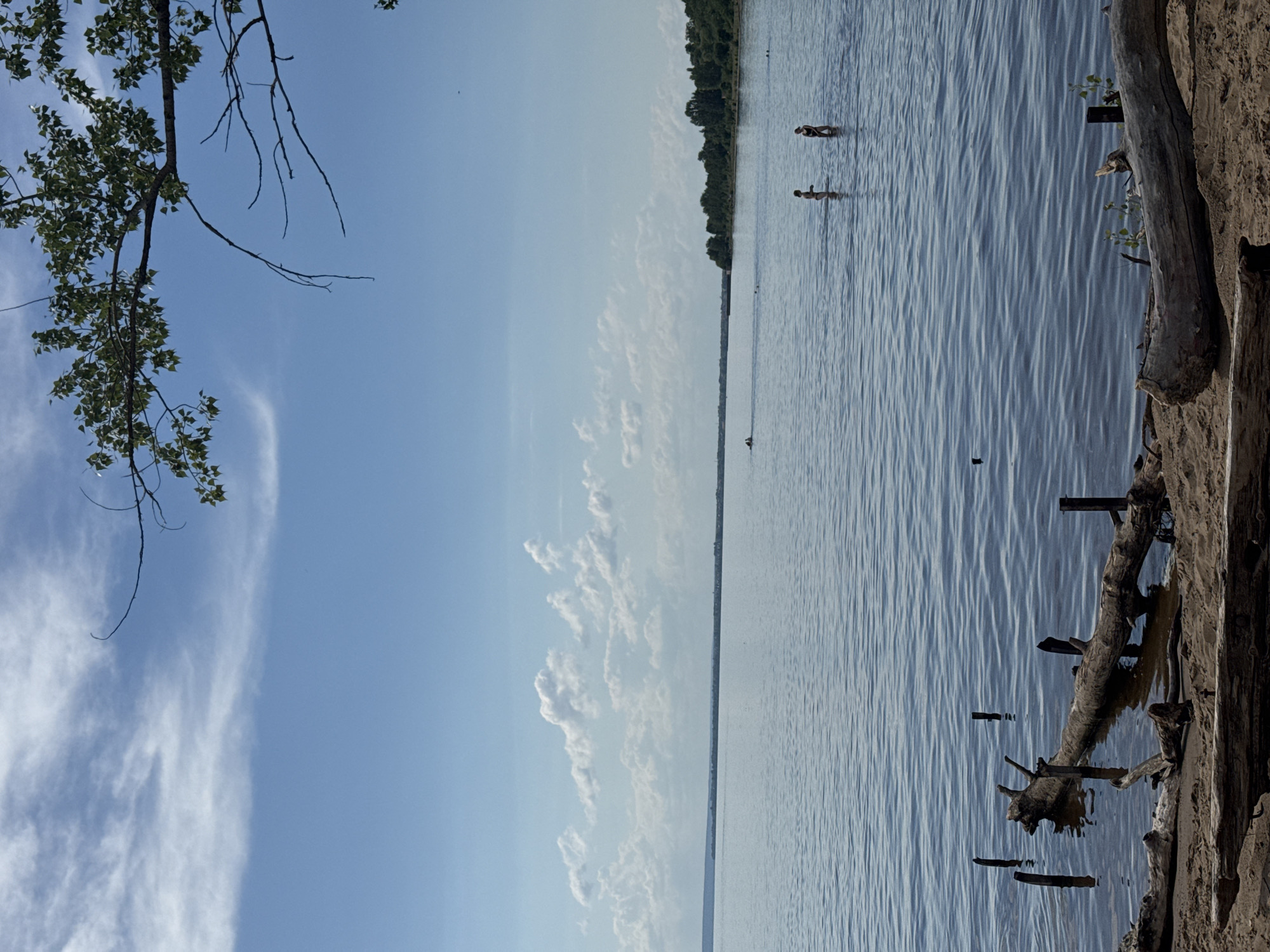 The image shows a wide shot of a body of water, likely a lake or river, on a clear day. The water is calm with small ripples reflecting the blue sky and scattered white clouds. In the distance, a line of trees marks the shoreline. There are several people visible in the water, wading or swimming. To the right of the frame, a sandy bank is visible with a large, weathered log and some branches protruding from it, creating a natural foreground element. The light suggests it is daytime, likely late afternoon or early evening due to the warm tones in the sky and the way the light reflects on the water. The scene evokes a sense of peace and leisure, suggesting a recreational activity at a natural water body. No text is visible in the image.