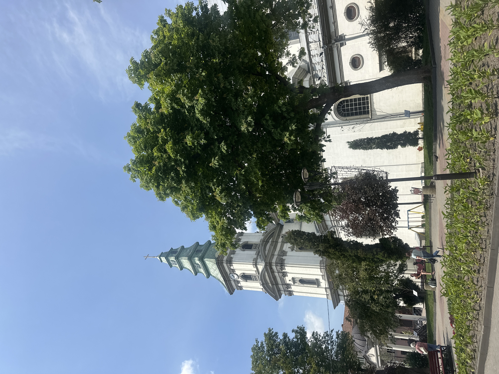 The image captures a view of the Ternopil Cathedral of the Immaculate Conception of the Blessed Virgin Mary in Ternopil, Ukraine. A large, mature tree with dense green foliage dominates the foreground and mid-ground, partially obscuring the right side of the cathedral. The cathedral itself is a white, multi-story building with a prominent, green-spired bell tower topped with a cross. The tower features a clock face and arched windows. To the left of the main cathedral structure, another building with a rounded dome is visible, supported by columns. In the mid-ground, several people are present in an outdoor area with benches and manicured plants. One woman, wearing a pink top and carrying a bag, stands near a bench. Another woman, dressed in a blue shirt and jeans, walks with a bag. Two other individuals are seated on a bench. The ground is paved with interlocking bricks, and a flowerbed with young green plants runs along the bottom of the frame. The sky is a clear, bright blue with a few wispy white clouds. The lighting suggests it is a sunny day.