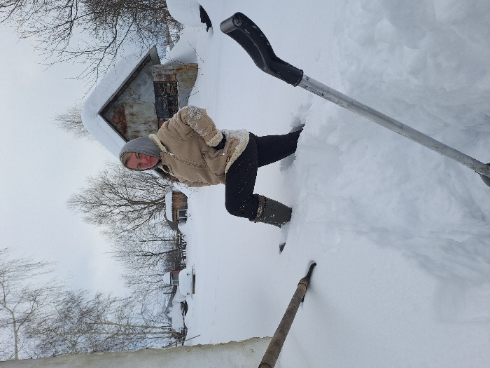 This image depicts a snowy outdoor scene in what appears to be a rural or semi-rural area of the city of Полянки, Russia.
**People:** One female subject is positioned centrally, posing on her left knee with her right leg bent, partially submerged in deep snow. She is wearing a light beige or tan winter jacket with a fuzzy light-colored lining, black trousers, and dark green winter boots. A grey headscarf covers her head. Her hands are placed on her hips, and she looks directly at the camera.
**Subjects/Objects:** In the foreground, two shovels are visible, partially buried in the snow. The shovel on the right has a silver handle with a black, ergonomic grip. The shovel on the mid-left has a wooden handle and a dark-colored spade, with only a portion visible. A narrow, cleared path in the snow runs from the bottom center towards the background, consistent with snow removal.
**Environment:** The entire ground is covered in a thick layer of undisturbed white snow. In the background, several small, rustic buildings are visible, also heavily covered in snow. A prominent dilapidated shack with rusted metal walls and a steeply pitched, snow-laden roof stands behind the subject to the right. Bare deciduous trees, some with white bark, are scattered across the mid-ground and background under an overcast, white-grey sky, indicating winter conditions. A tall, snow-covered vertical structure is partially visible on the far left.