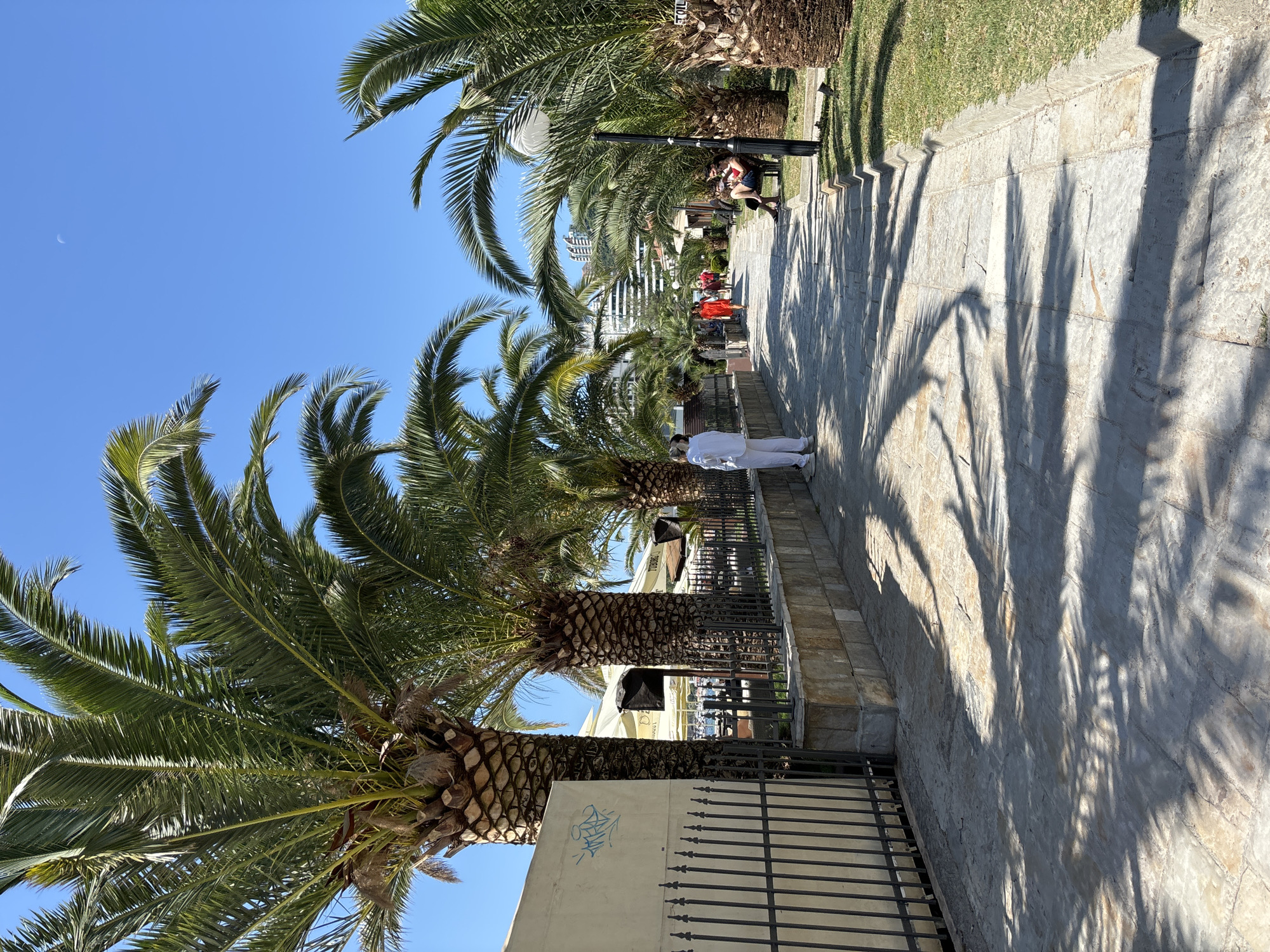This image depicts a sunny day on a promenade in Budva, Montenegro, lined with mature palm trees casting dappled shadows on a paved walkway. The promenade appears to be adjacent to a street or a building, with a black wrought-iron fence separating the walkway from a low stone wall. To the left of the frame, a cream-colored wall with graffiti is visible, and beyond the fence, white umbrellas suggest an outdoor seating area for a restaurant or cafe.
Several people are present on the promenade. In the foreground, a person dressed entirely in white stands facing away from the camera, looking towards the right. Further down the promenade, a few individuals are walking away from the camera. One person in a red dress is particularly noticeable. On the right side of the promenade, a woman is seated on a dark park bench, engaged with her phone, while another person sits next to her. A lamppost stands near the bench.
The environment is characterized by bright sunlight, a clear blue sky with a crescent moon visible, and lush green grass bordering the walkway. In the background, buildings and trees are visible, with a hint of the sea or a harbor to the left. The overall scene conveys a leisurely, warm-weather atmosphere typical of a coastal resort town.