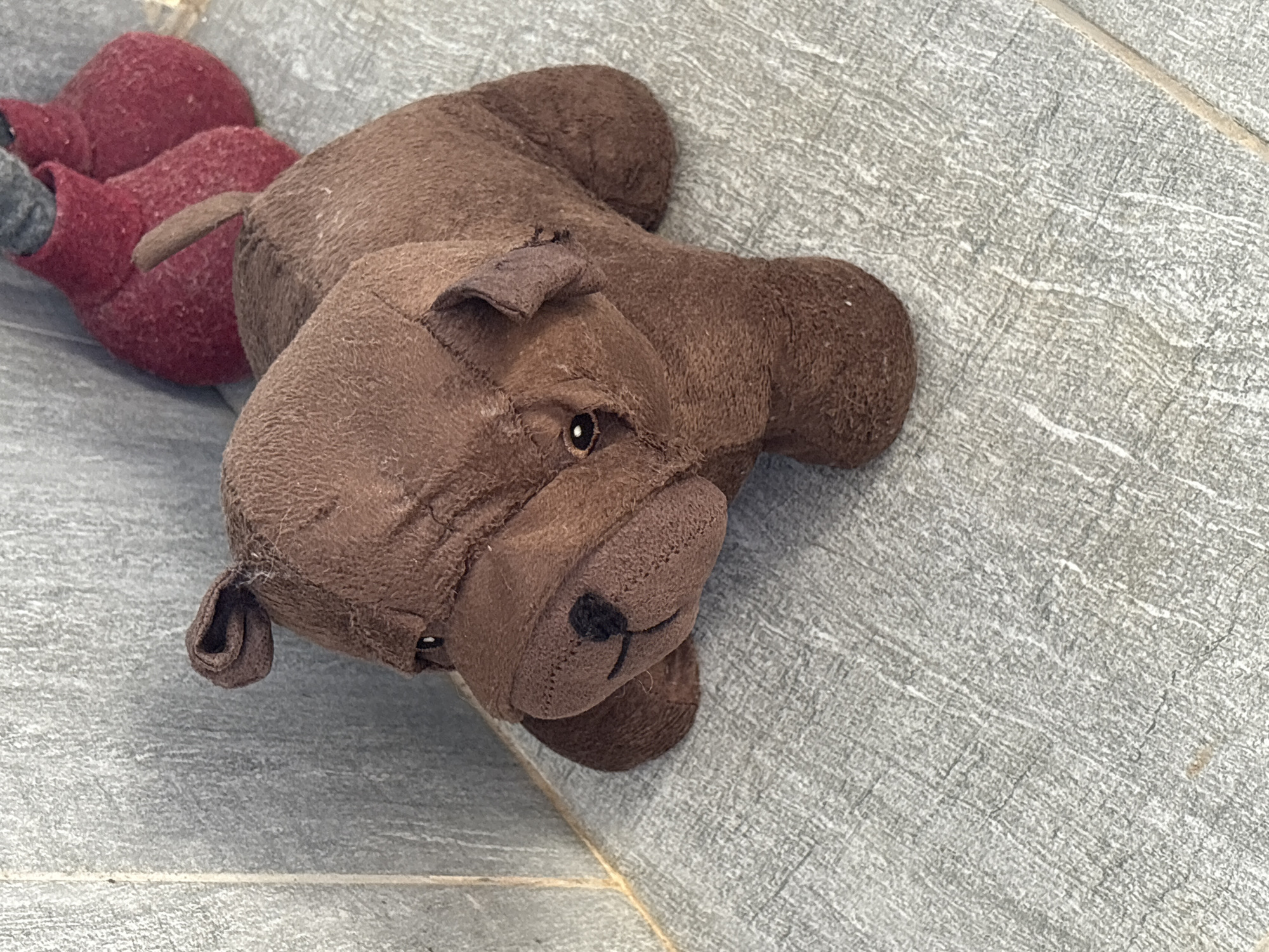 A close-up photograph shows a brown stuffed animal resembling a bear lying on a gray tiled surface. The bear is positioned diagonally, with its head and front paws oriented towards the lower left and its rear portion extending towards the upper left of the frame. A red object, possibly another toy, is partially visible behind the bear. The scene appears indoors, and the location is Unknown, Unknown.