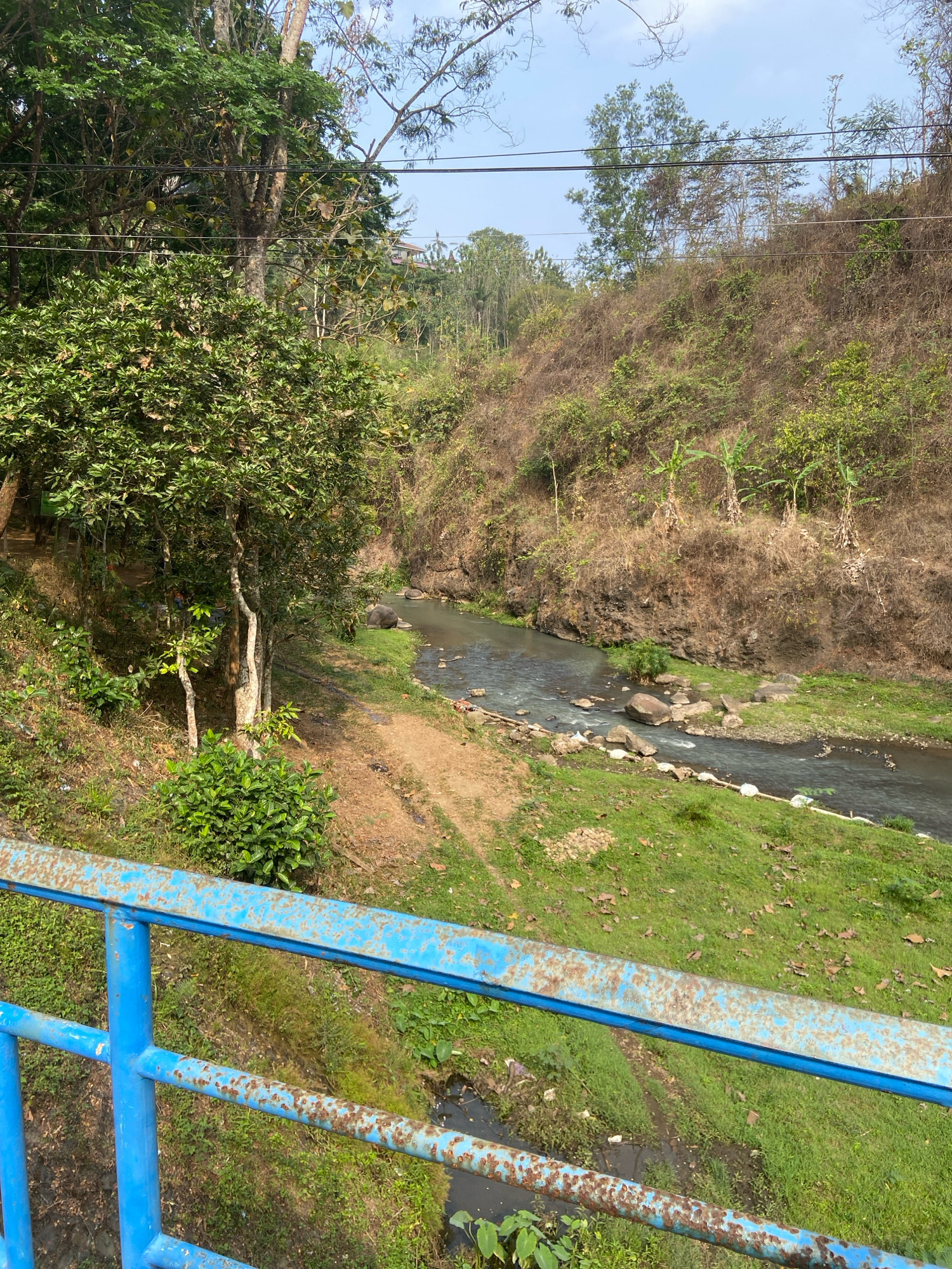 The image captures a view of a flowing river in Segawe, Indonesia, from a blue, rusted metal railing in the foreground. The riverbanks are lined with lush green grass and trees, with some areas showing dry, brown vegetation on a sloping hillside. The water is calm and reflects the surrounding greenery. The scene appears to be a natural landscape within or near the city. No people are visible in the image.