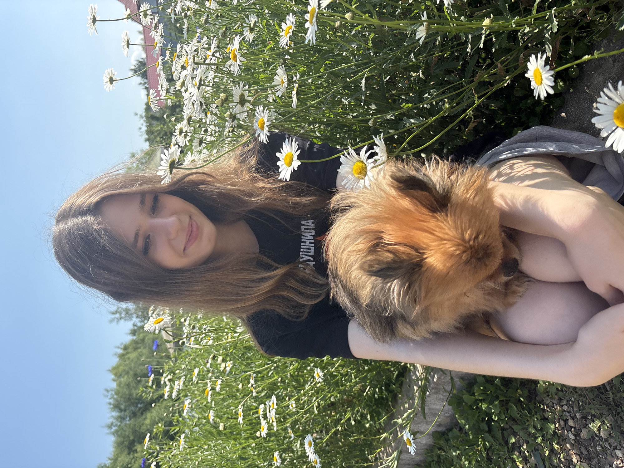 A young woman with long, light brown hair and fair skin is seated in a field of daisies under a clear blue sky. She is wearing a black t-shirt with Russian text and is holding a small, fluffy, ginger-colored dog in her lap. The dog is partially obscured, with its head down. The surrounding environment is a lush field of white daisies and green foliage, with trees and houses visible in the background. The location is identified as Razdolnoye, Russia.