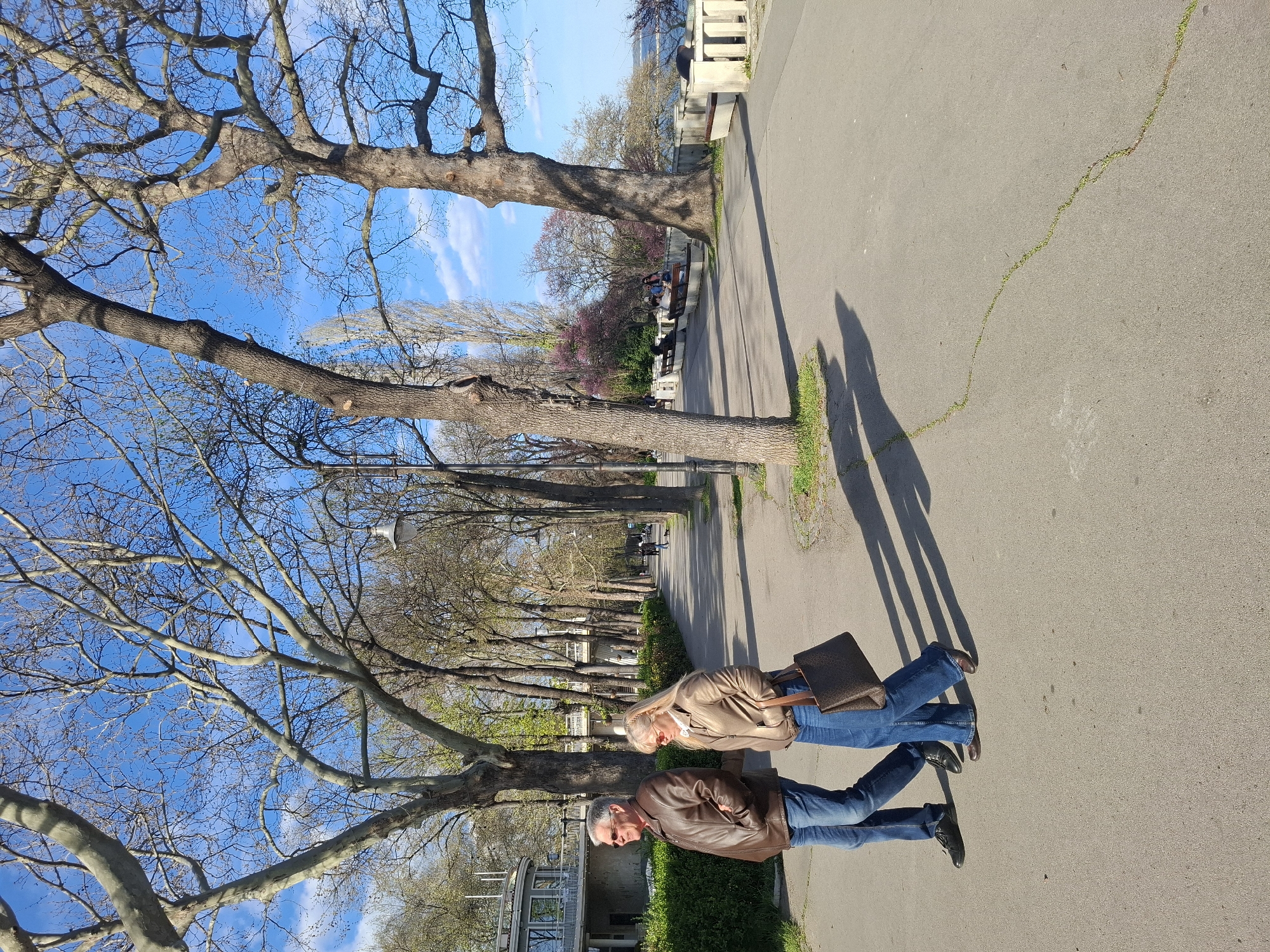 This media file captures a sunny outdoor scene on a paved promenade, likely in a park or along a waterfront, consistent with a location like Varna, Bulgaria. The image, rotated clockwise, depicts two people walking away from the viewer on an asphalt path. The man, in the foreground, wears a brown leather jacket, blue jeans, and dark shoes, with short grey hair. Slightly behind him, the woman wears a tan jacket, blue jeans, and light shoes, carrying a dark brown handbag.
Numerous tall, deciduous trees with mostly bare branches line both sides of the path, some showing signs of early spring foliage. Long shadows of the two walkers are cast to their left, indicating a low sun angle, suggesting either morning or late afternoon. Further down the path, other individuals are visible sitting on benches. To the right of the path, a light-colored concrete wall or railing suggests a view over a body of water. The sky is clear and bright blue with scattered white clouds. A small white boat or structure is partially visible near the lower-left corner. The overall atmosphere is peaceful and casual, with people enjoying a leisurely walk or relaxation. No visible text is present in the image.