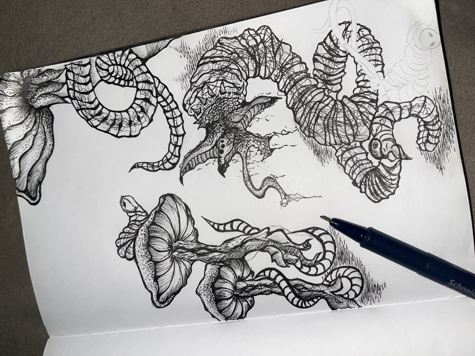 The image depicts a black and white sketch in a notebook, showing various creatures drawn with intricate detail. The creatures appear to be fantastical or monstrous, with tentacle-like appendages, segmented bodies, and varying textures. The sketchbook is placed on a dark surface, and a black pen lies on the page next to the sketches. There is no indication of this image being taken in Sofia, Bulgaria, or any specific location. There is no information about the people in the image.