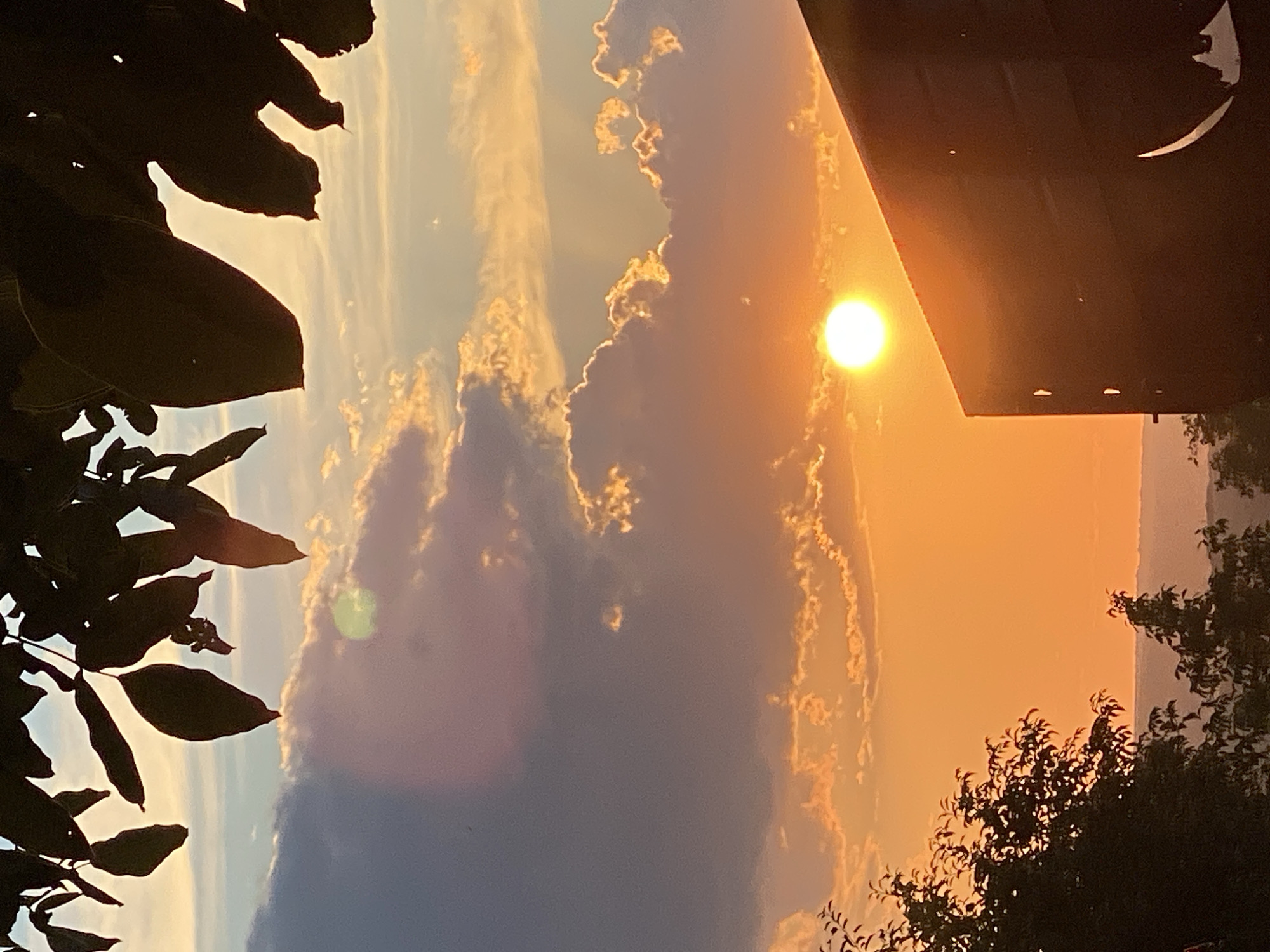 The image depicts a sunset scene with the sun as a bright, glowing orb low in the sky, casting a warm orange and yellow hue across the clouds. The sky is partly cloudy, with some clouds appearing darker and more diffused, while others are illuminated by the sun's rays, creating a dramatic contrast. In the foreground, silhouetted against the vibrant sky, are the dark leaves of a tree or plant hanging from the top of the frame. To the right, the dark, angular shape of a building or structure juts into the frame, its surface reflecting the sunset colors. In the lower portion of the image, more silhouetted trees and foliage are visible, suggesting a natural or semi-rural setting. The background shows a hazy, distant landscape, indicative of a wide view. The overall atmosphere is serene and picturesque, typical of a sunset in a locale like Cairaclia, Moldova, where open spaces and natural light are prominent features. There are no people visible in the image.