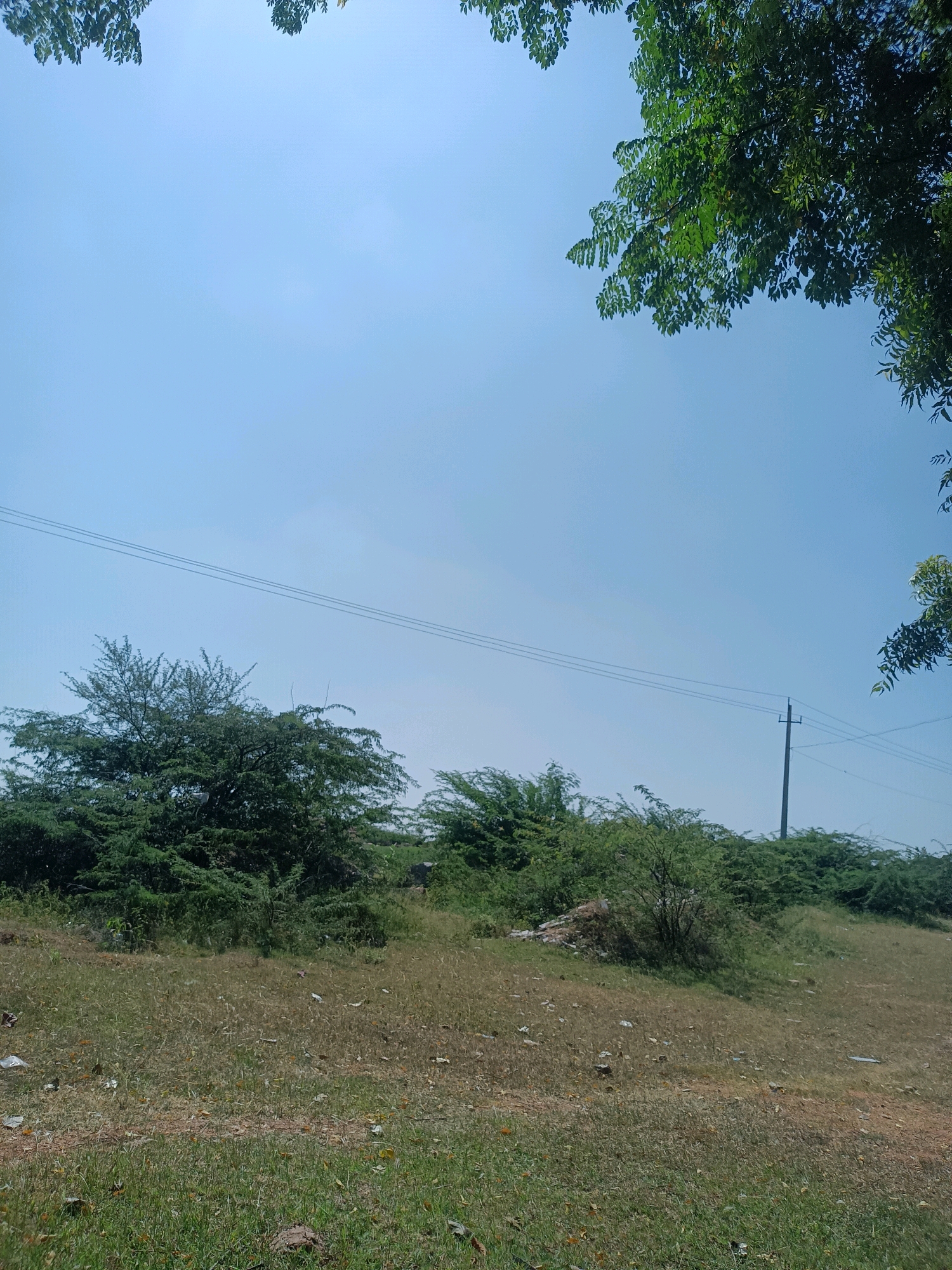 This is a medium shot, eye-level, outdoor photograph taken in Antarathana, India. The scene depicts a clear, light blue sky dominating the upper portion of the frame. In the foreground, a grassy field with patches of dry earth is visible, scattered with a few pieces of debris. A line of trees and dense vegetation forms a visual barrier across the mid-ground. A single utility pole with wires running horizontally is positioned on the right side of the frame, amidst the foliage. The upper corners of the image are framed by the dark green leaves of tree branches, suggesting the vantage point is beneath a canopy. The overall impression is one of a rural or semi-rural landscape under a bright sky.