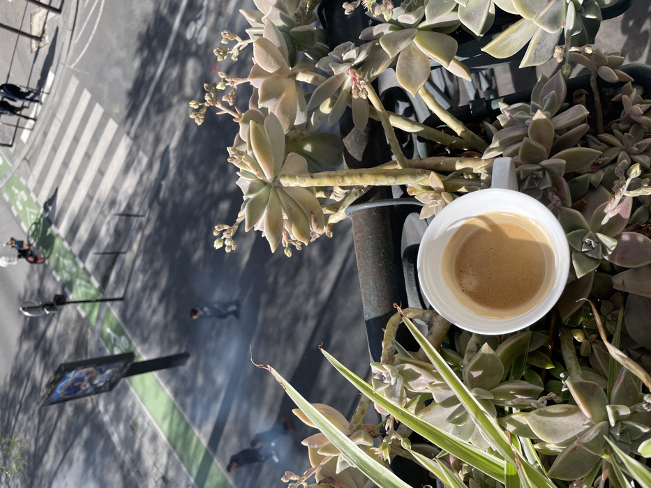 The image, captured from an elevated perspective, displays a street scene in Paris, France, with a balcony's railing and plants in the immediate foreground. A white ceramic cup holding an espresso with a visible layer of crema is centrally placed among an arrangement of various succulent plants, including several Echeveria-type specimens with pale green and reddish-tinted leaves, some bearing budding flower stalks. A dark, possibly metal, railing runs horizontally across the mid-foreground. Below, on the grey asphalt street, a prominent white zebra pedestrian crossing is visible, bordered by green-painted bicycle lanes. Several blurred figures are in motion on the street level: a lone pedestrian walks near the center, two additional pedestrians are on the left, and a person on a bicycle is positioned near the top right corner. A plume of white vapor or smoke rises from the street near the left pedestrians. A tall black pole supporting a vertical digital advertising billboard, displaying an indistinct image, stands on the street. Long shadows are cast across the pavement, indicating bright sunlight.