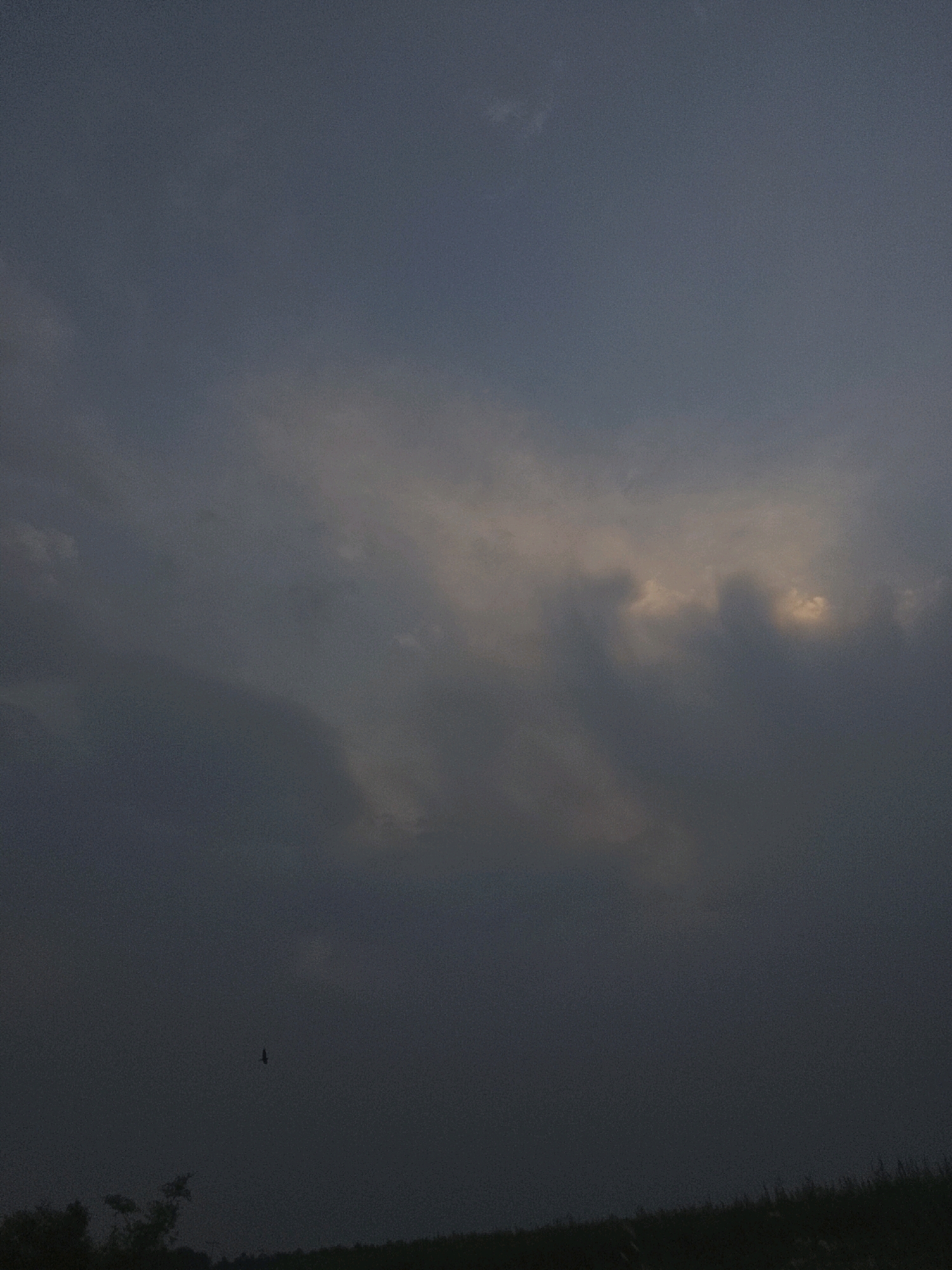 A dark, overcast sky dominates the image, with some lighter clouds suggesting a break in the weather or the setting sun. A solitary bird is visible in flight against the dark sky in the lower left quadrant. The bottom of the image shows a silhouetted landscape, likely a field of grass or low vegetation, with a few dark trees on the far left. The scene is devoid of any structures or clear indicators of a specific urban location, making it difficult to ascertain if it is within Tarlandi, Pakistan, or any other city without further context.