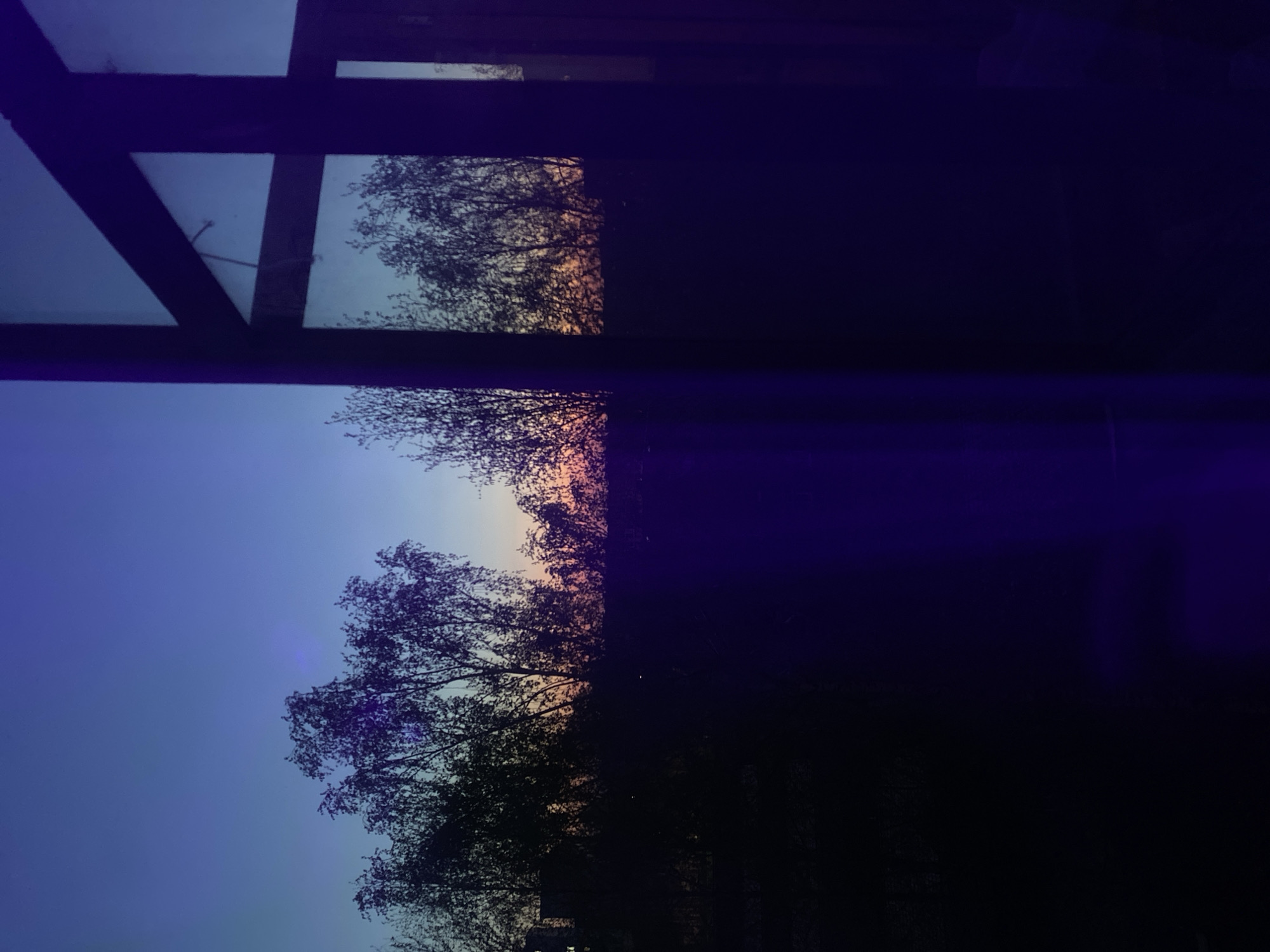 The image shows a view of trees and the sky at dusk, framed by the dark silhouette of a window. The sky transitions from blue to orange near the horizon, suggesting a sunset or sunrise. The location is not identifiable in the image. There are no people visible, no actions or interactions are taking place.