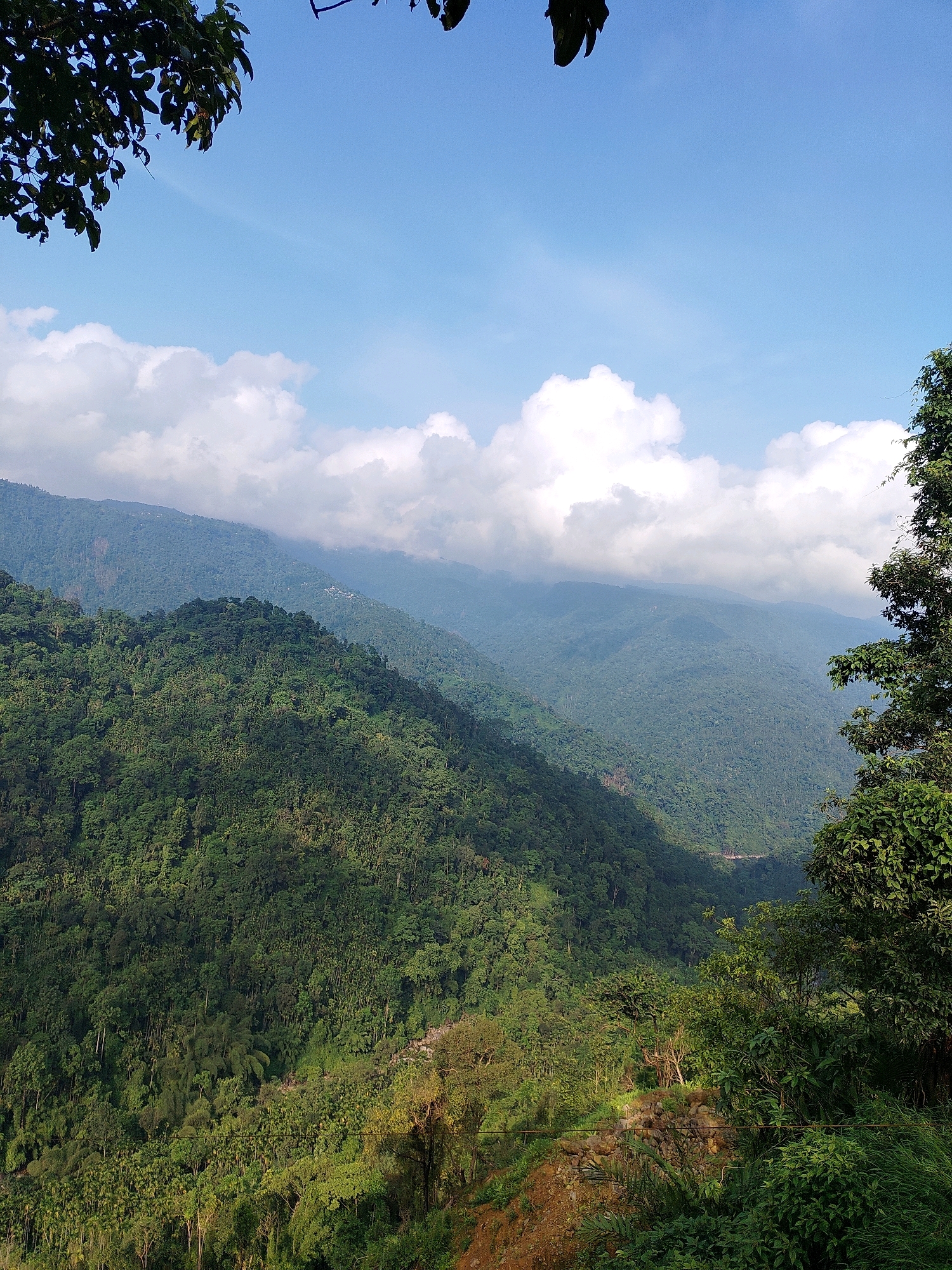 The image depicts a lush, green mountainous landscape in Wahkdait, India. In the foreground, a tree with dark green leaves partially frames the scene from the top left. The sky above is a vibrant blue, dotted with fluffy white clouds. The midground and background are dominated by rolling hills covered in dense vegetation, showcasing a rich variety of green hues. Sunlight casts shadows across the slopes, highlighting the undulating terrain. In the distance, the mountains recede into a hazy blue, suggesting depth and scale. The overall scene conveys a sense of natural beauty and tranquility.