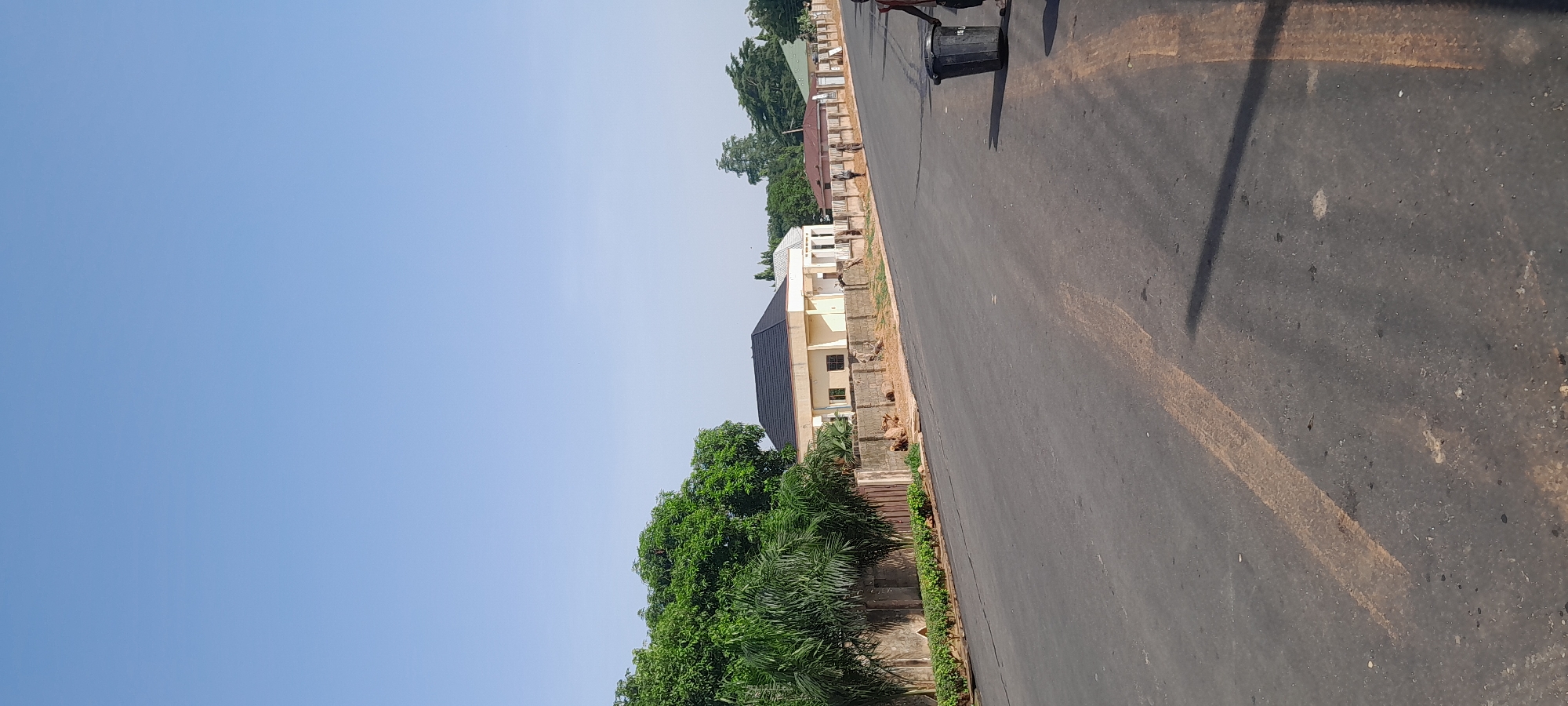 A vertical, eye-level, full shot captures a quiet street in Jalingo, Nigeria. The clear blue sky dominates the upper half of the frame. Below, a paved road with faint yellow markings curves gently to the right. On the left side of the road, a thick line of lush green trees and palm trees lines a low, rough-stone wall. Behind the wall, a cream-colored building with a dark, modern roof stands out. Further down the street, more buildings with varying roof colors are visible, separated by more walls and trees. Two individuals are visible on the right side of the road, one pushing a large black trash bin. The overall scene depicts a peaceful, somewhat undeveloped urban environment.