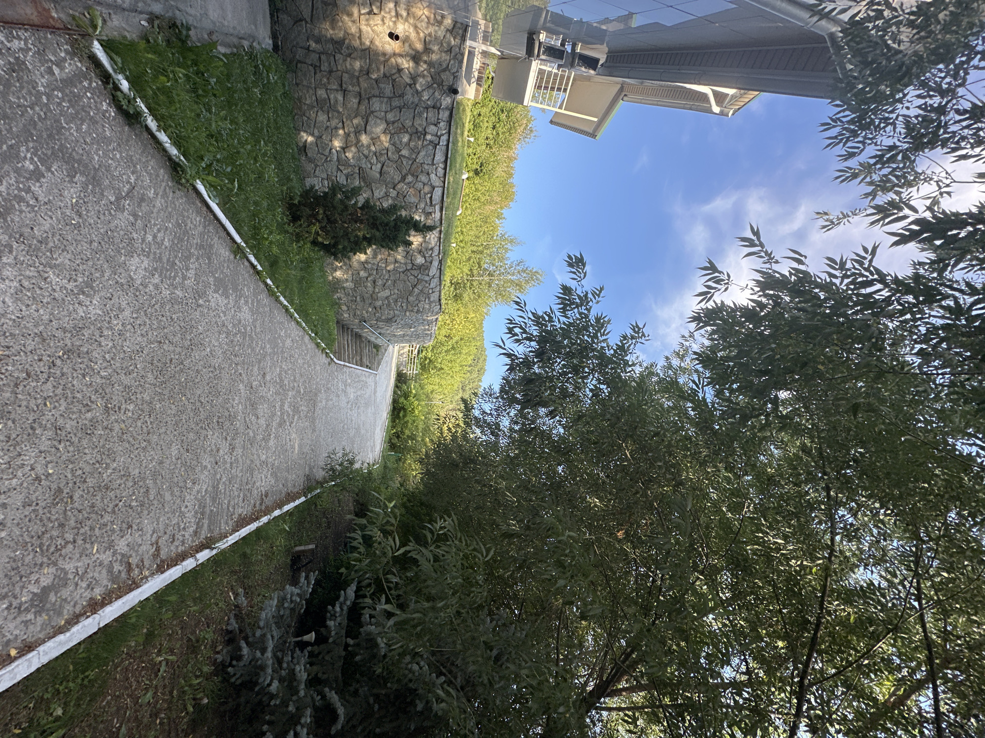 The image depicts an outdoor scene on a sunny day. A paved pathway curves through a naturalistic setting. To the left, a building with a modern facade, featuring large glass windows and a balcony, is visible. Adjacent to the building is a stone retaining wall topped with a grassy area and a small, conical evergreen tree. The pathway itself is made of concrete and is bordered by a white edge. On the right side of the pathway, dense foliage from large trees overhangs, with some evergreen branches visible closer to the path. In the background, a lush green landscape of trees and hills under a bright blue sky with scattered clouds can be seen. The overall impression is of a well-maintained outdoor area, possibly a park or the grounds of a resort or private residence. The location is identified as Danilovka, Altai Krai, Russia. No people are present in the image.