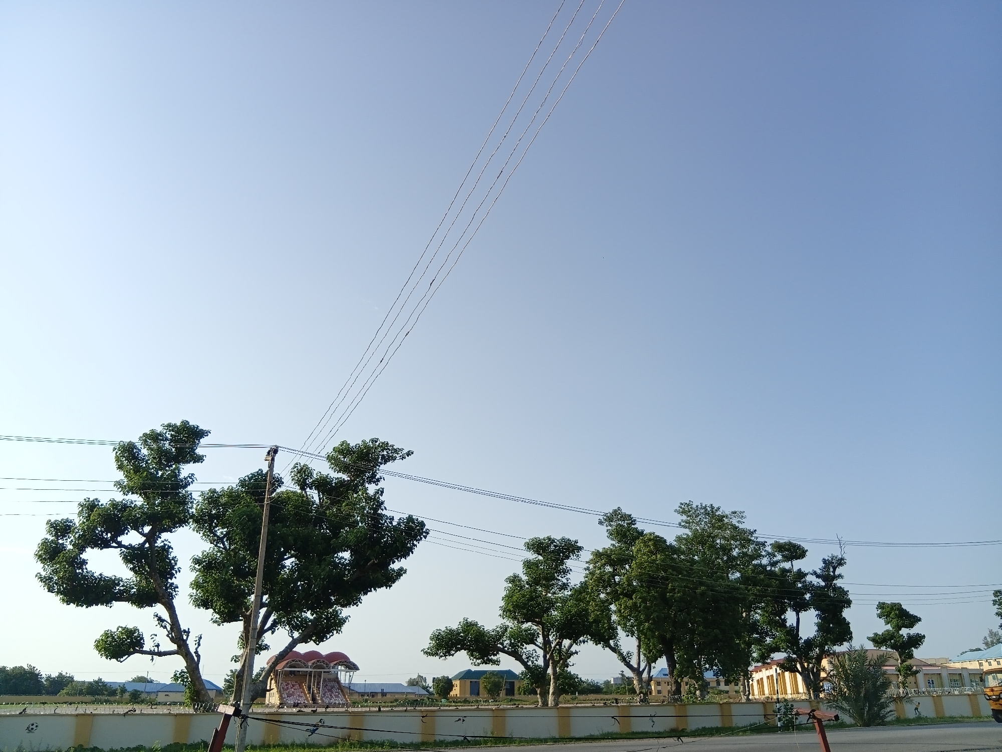 In Jalingo, Nigeria, under a clear, pale blue sky, a road is bordered by a low, white wall with yellow trim. Several trees with lush green foliage are visible, their branches reaching outwards. Some of these trees have noticeably thick trunks. Behind the wall, a few buildings can be seen, including a structure with a red, arched roof and tiered seating, resembling a small stadium or amphitheater. Other buildings in the background appear to be educational or administrative facilities. Multiple power lines stretch across the upper portion of the image, suspended by poles that are partially obscured by the trees. A single utility pole with attached wires is prominent in the foreground, slightly to the left of the center. Birds are present on the wall and in the trees, and some appear to be in flight in the distance. The overall scene suggests an outdoor public space or educational campus on a bright, clear day.