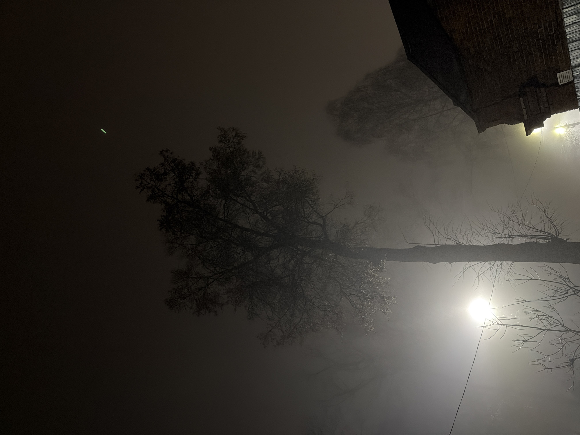 The image depicts a foggy night scene in Sarapul, Russia. A bare tree dominates the center, its branches silhouetted against the hazy sky. A street light shines brightly on the right side, obscured by the fog, creating a soft glow. A building is visible in the upper right corner. There is a series of green lights in the top left part of the image.