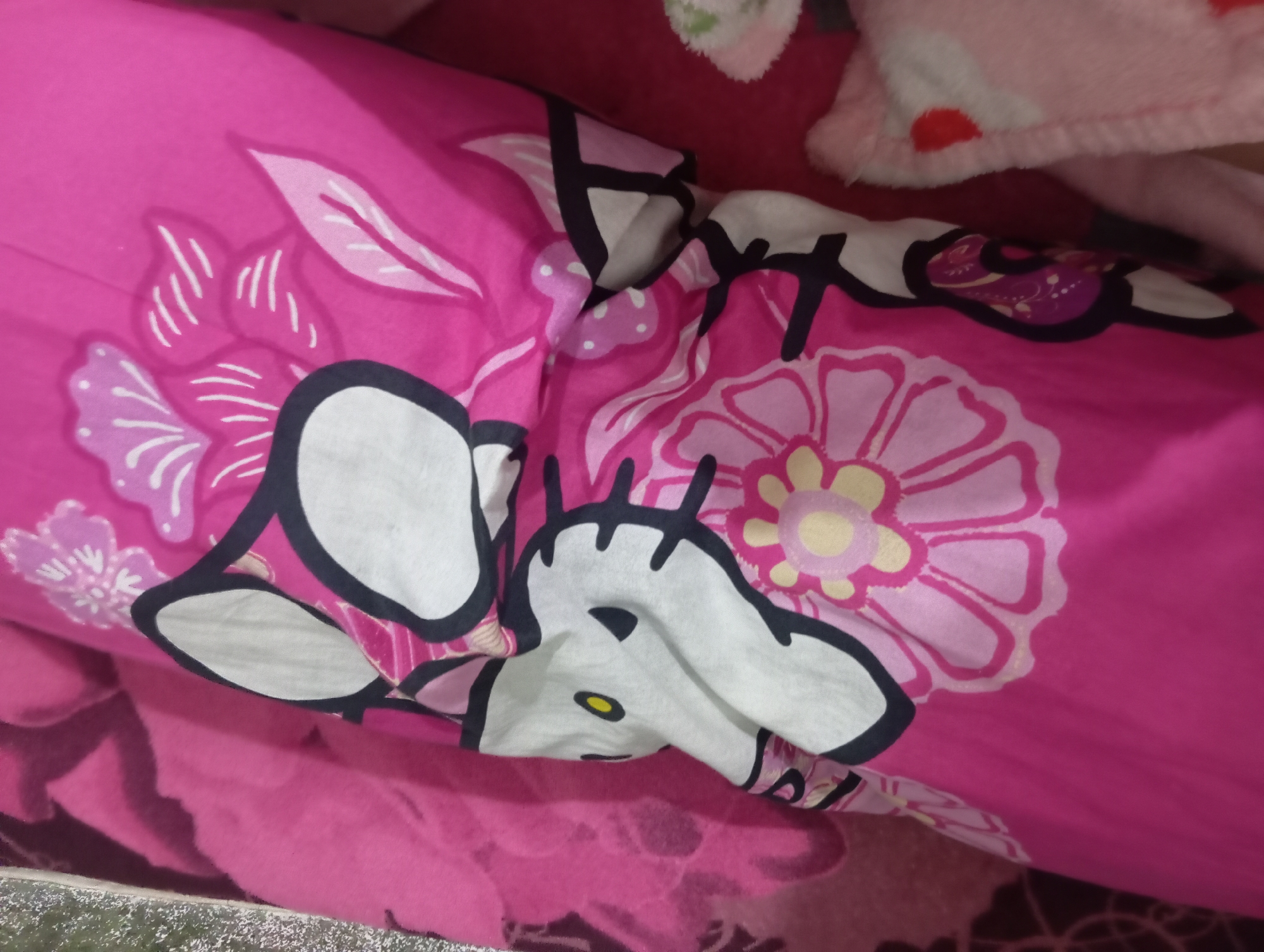 The image shows a close-up of a pink pillow with a Hello Kitty print and floral patterns. The pillow is on a bed, with another pink fuzzy object with red heart shapes visible to the right. The setting appears to be indoors, likely a bedroom. The image does not contain any information to determine its location in Rejosari, Indonesia.