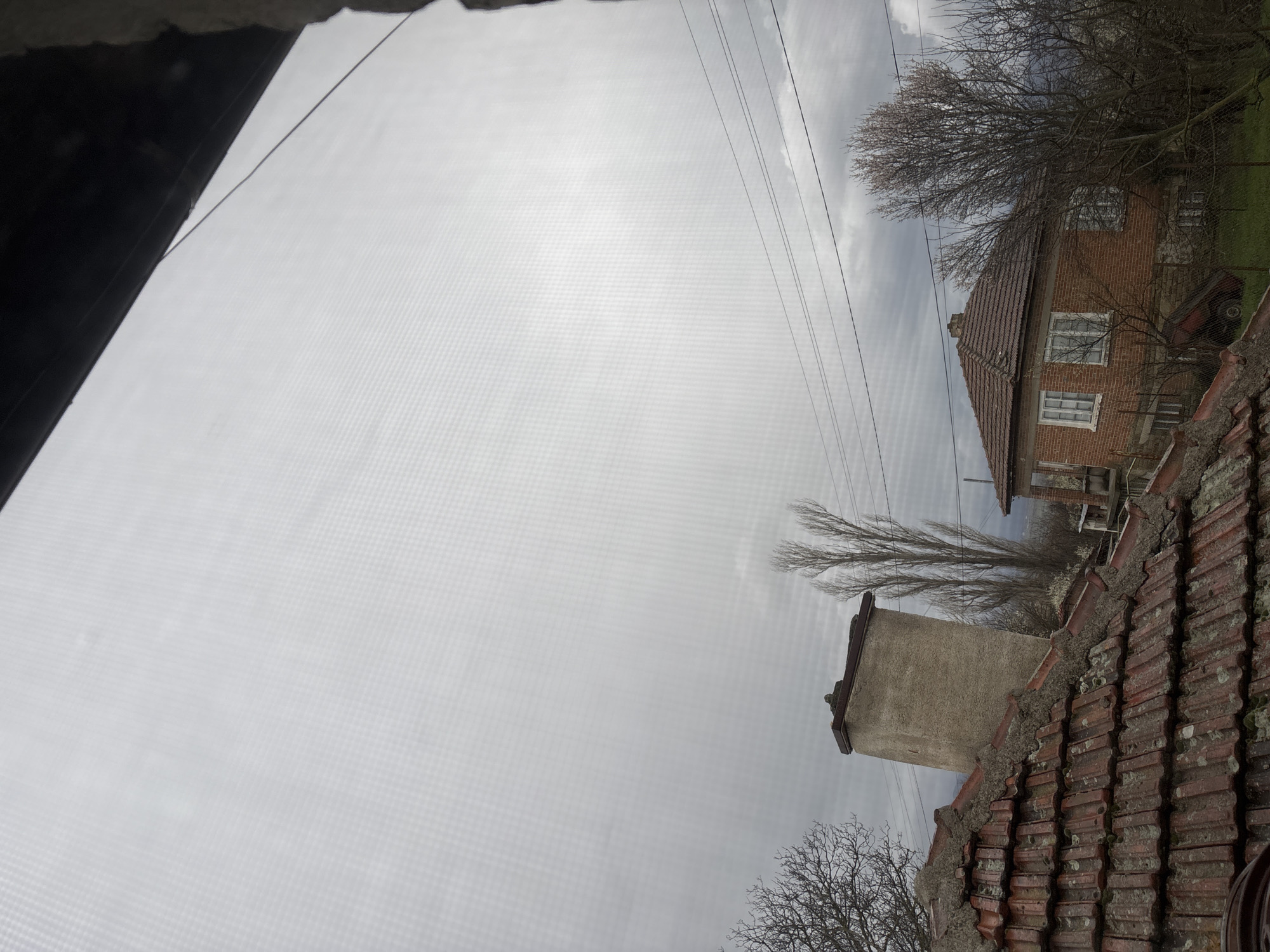 The image displays an exterior scene captured from an elevated position, likely through a window screen, in Padarevo, Bulgaria, under an overcast, grey sky. The screen's mesh pattern is visible across the entire image. In the foreground, a prominent section of a weathered red-tiled roof, significantly covered in green moss and lichen, extends from the lower left towards the center. A beige, rectangular stucco chimney with a dark brown cap rises from this roof. To the right of the chimney and beyond the foreground roof, a two-story red brick house with a red-tiled roof is visible, featuring multiple white-framed windows. The house is surrounded by bare deciduous trees, indicating late winter or early spring. A wire fence separates the house's grassy yard, where a red, wheeled object is partially discernible. Overhead electrical power lines traverse the upper mid-ground horizontally. Tall, slender, bare trees are visible behind the chimney and further into the background. No individuals or explicit actions are depicted within the scene.