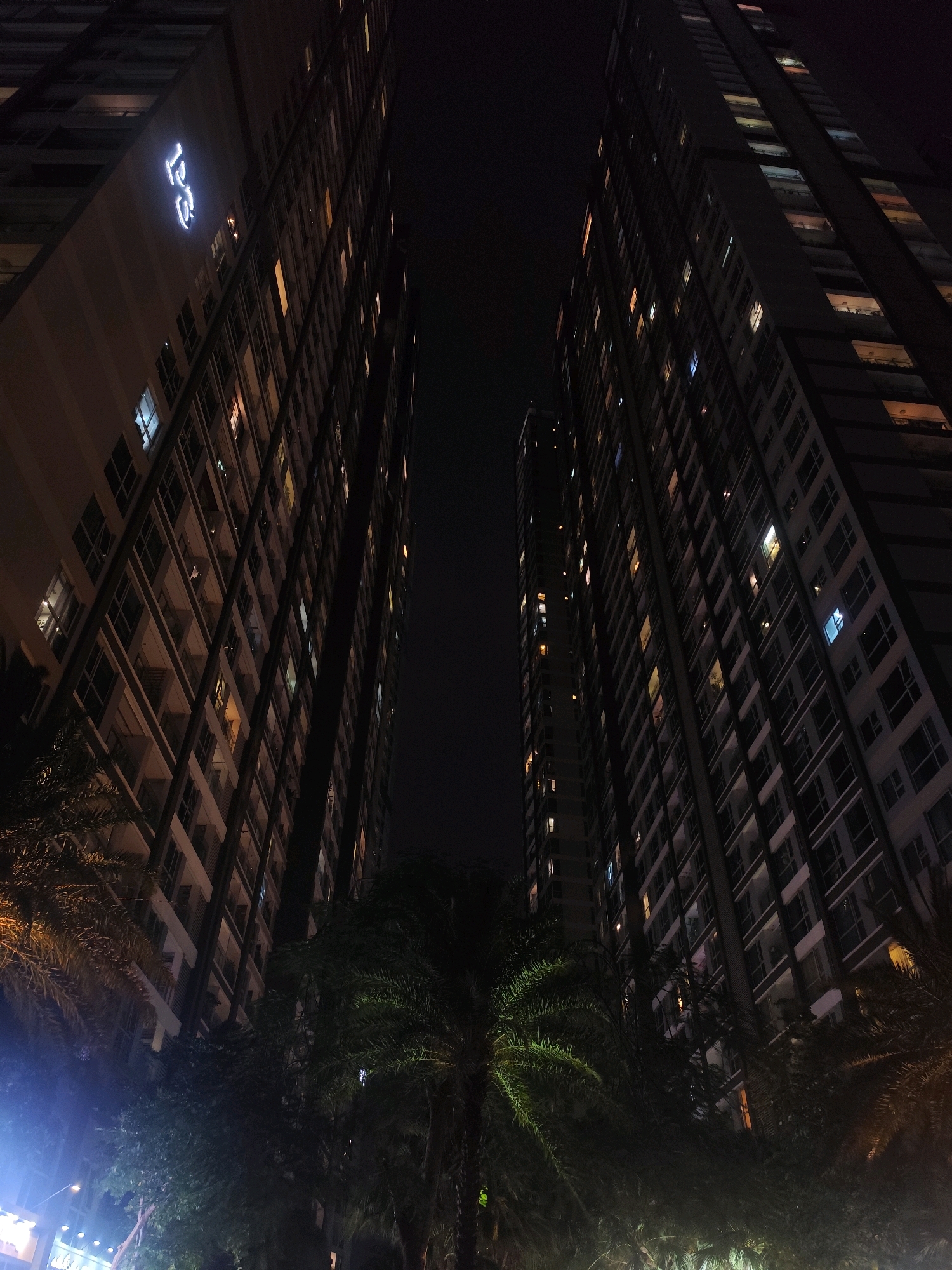 This is a nighttime, low-angle shot of two modern, illuminated skyscrapers in Ho Chi Minh City, Vietnam. The buildings are tall and rectangular, with numerous windows, many of which are lit from within, suggesting occupancy. On the left building, a glowing white sign is visible near the top, displaying what appears to be the characters "LG" in a stylized font. Tropical palm trees and foliage are in the foreground, partially obscuring the lower sections of the buildings, and are illuminated by a bluish light from a source not visible in the frame, creating a contrast with the warmer tones of the building lights. The sky is dark and clear, indicating a clear night. The perspective is dramatic, with the buildings appearing to converge towards the top of the frame, emphasizing their height and scale.