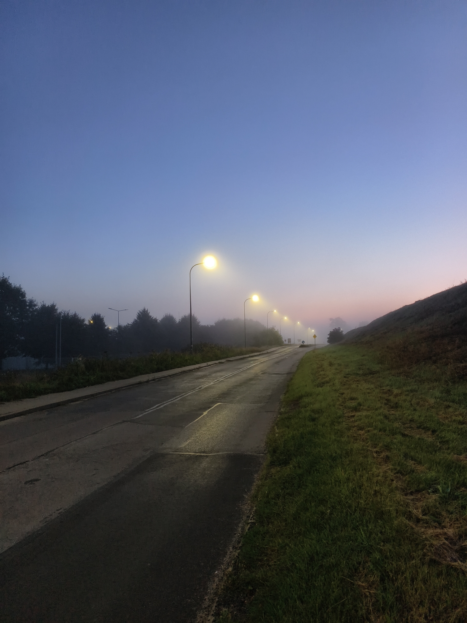 The image depicts a roadside scene at dawn in Tczew, Poland. A paved road with a bike path runs from the foreground to the background, curving slightly to the right. Streetlights illuminate the road, casting a glow on the wet asphalt. Trees line the left side of the road, shrouded in fog, with more streetlights visible in the distance. To the right of the road is a grassy embankment. The sky transitions from a deep blue at the top to a pale pink near the horizon, indicating the early morning hours. No people or vehicles are visible in the frame.