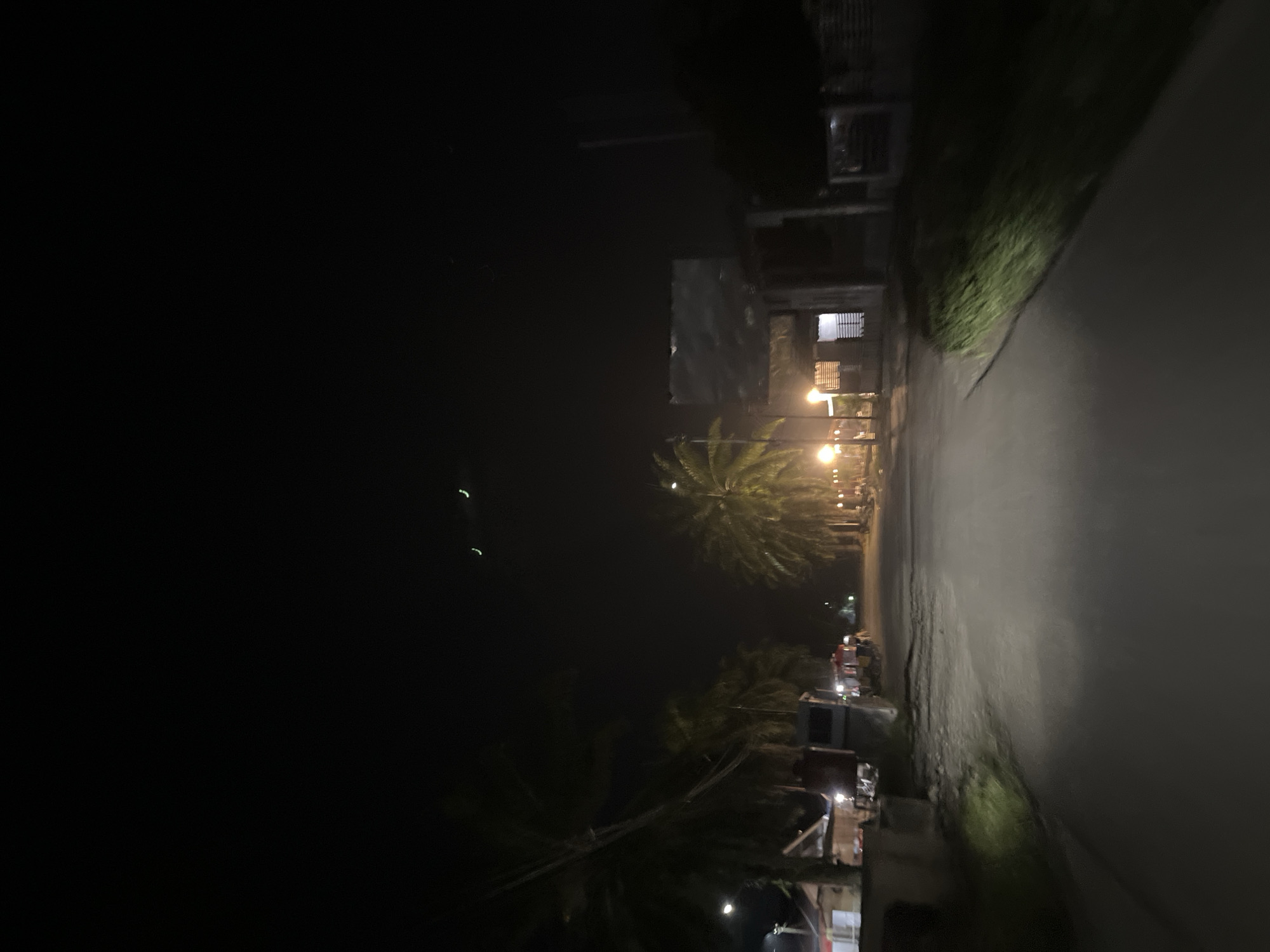 This image depicts a dark, nighttime street scene, likely in Bundar, Indonesia, given the presence of palm trees and the architectural style of the buildings. The perspective is from a moving vehicle, indicated by the slightly blurred foreground and the road stretching ahead. Streetlights illuminate parts of the road and the surrounding areas, casting long shadows. On the left side of the road, there are several buildings, some with lights on, and a large palm tree. On the right side, more palm trees line the road, with occasional lights from businesses or homes. The sky is dark, with a few faint, crescent-shaped objects visible, possibly distant lights or celestial bodies. There are no discernible individuals in the immediate foreground. The overall atmosphere is quiet and nocturnal.