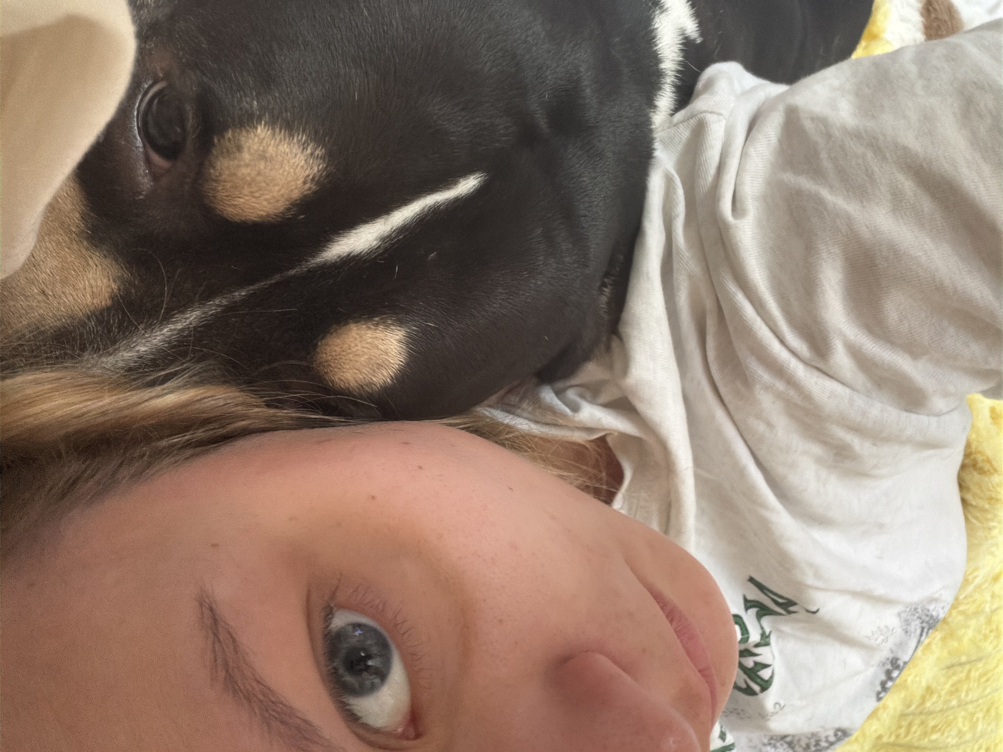 This close-up, overhead shot captures a cozy moment between a person and a dog, both lying down indoors. The person, positioned in the lower half of the frame, has fair skin, visible light blonde hair, and a prominent blue eye that looks directly at the viewer. Only the upper part of their face, from just above the eyebrow to the chin, is visible.
Resting closely beside and partially above the person's head is a tricolor dog, primarily black with tan markings around its eye and snout, and a distinctive white stripe running down its forehead. One of the dog's dark eyes is visible, suggesting it is also resting but possibly aware of the camera. The dog's fur appears soft and short.
The person is wearing a light-colored (white or light grey) t-shirt, with some blurred green letters and grey/black patterns visible on its surface, though no specific text is legible. A soft, yellow-textured blanket or fabric is seen in the background, particularly on the right side. The lighting is soft and diffused, characteristic of an indoor setting, and creates a sense of comfort and intimacy. The image conveys a feeling of affectionate companionship and relaxation between the human and their pet. This intimate scene takes place in Tel-Aviv, Israel.