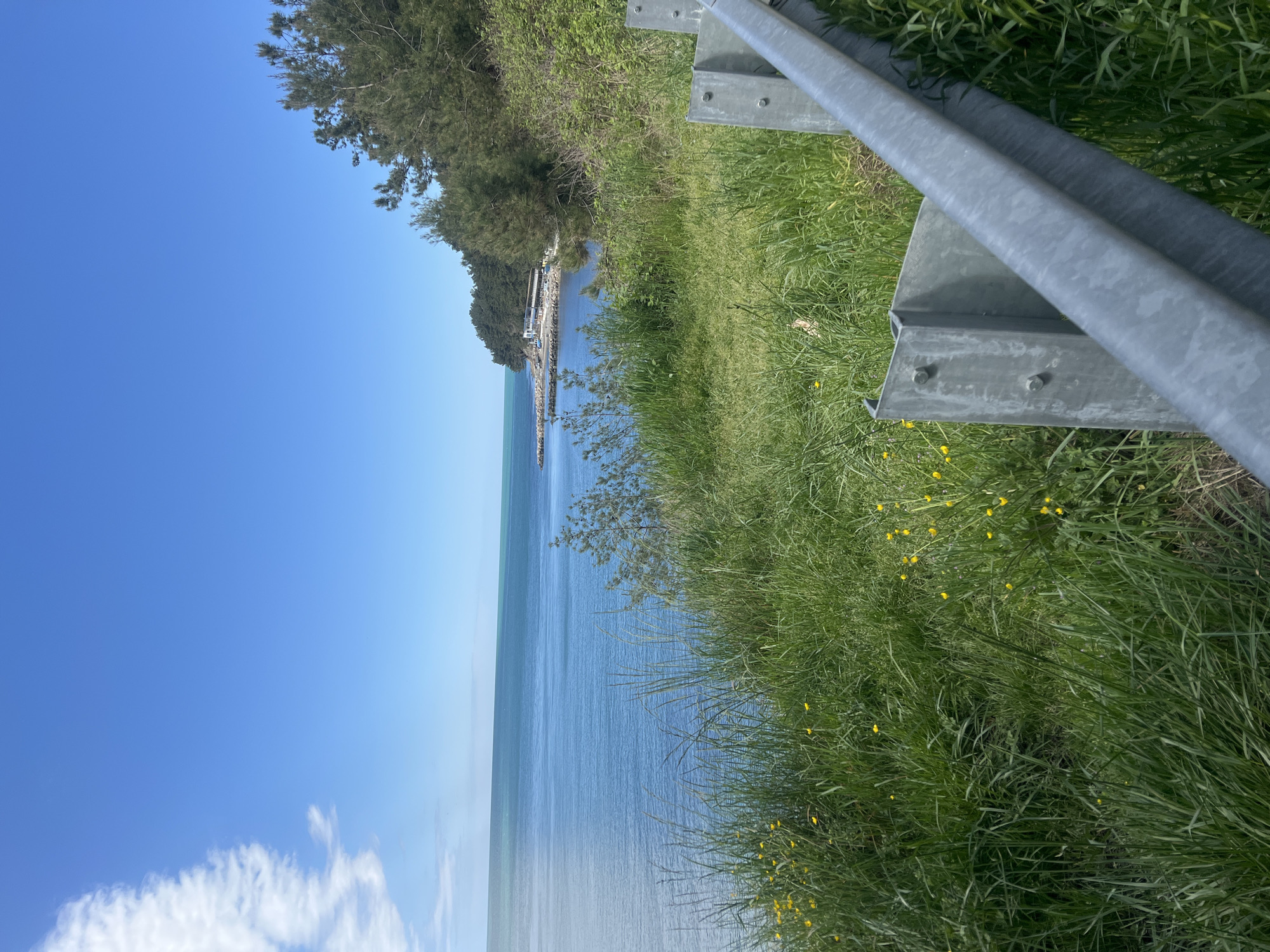 This media file captures a serene, bright daytime landscape, likely along a coastline or a large lake in Sosnovy, Russia. The image is taken from an elevated perspective, looking over a body of water towards a distant shore.
In the foreground, a vibrant green grassy embankment extends across the bottom and right side of the frame, populated with small yellow wildflowers. A sturdy metal guardrail, composed of two horizontal beams and vertical supports, runs diagonally from the upper right corner towards the center, suggesting the presence of a road or path just out of view.
The midground is dominated by a calm, expansive body of blue-green water, which appears still and reflective under the clear sky. A long, narrow pier or breakwater, dotted with small white structures that resemble boats or small buildings, stretches out into the water from the distant treelined shore on the left side of the frame. The distant shoreline is covered with dense green trees and foliage.
The background features a vast, clear blue sky, with a few soft, white clouds visible in the lower left corner. The sunlight appears bright, indicating it is likely mid-morning or early afternoon. The overall scene conveys a sense of peacefulness and natural beauty. There are no people visible, nor is there any discernible activity taking place. No text is visible in the image.
