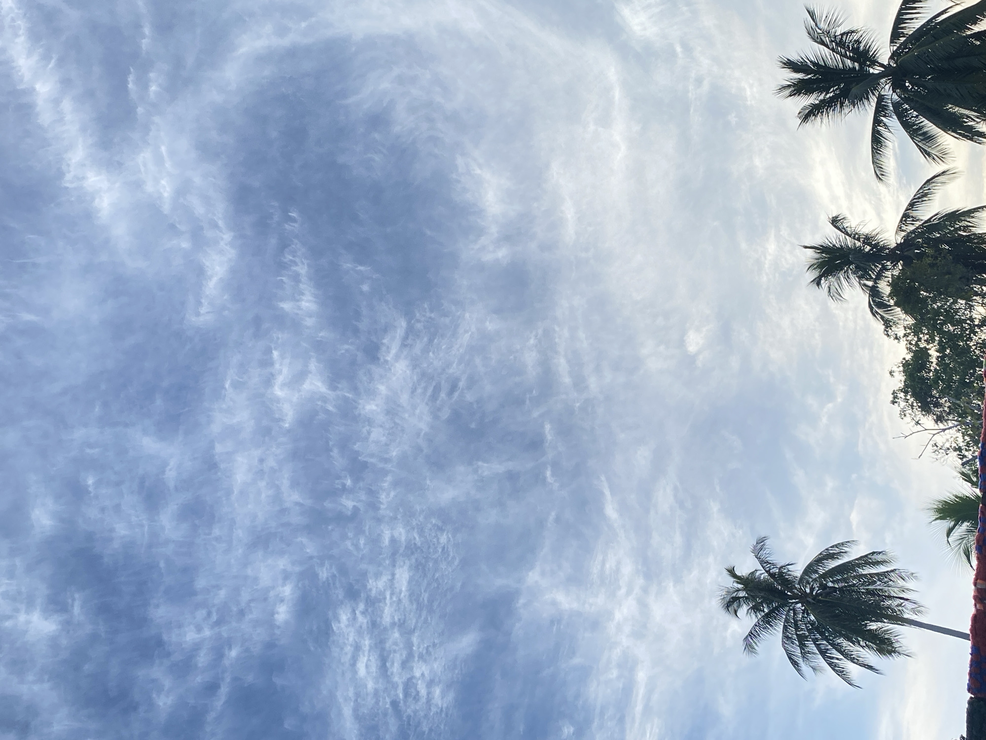 The image displays an expansive view of a bright, partly cloudy sky, largely dominated by shades of light blue and white. The photograph is oriented vertically, with the sky filling the majority of the left side and transitioning to a brighter, almost white hue towards the right. Wispy, streaky clouds, likely cirrus or cirrocumulus, are spread across the sky, creating intricate patterns that vary in density; they appear more prominent on the far left and gradually thin out towards the center and right.
Along the right edge and bottom right corner of the frame, three coconut palm trees are visible. These trees are largely silhouetted in dark green and black against the luminous sky, with their distinct fronds fanning out. Their presence strongly indicates a tropical or subtropical setting, which is consistent with the provided location context of Gampongaceh, Indonesia.
No people or specific activities are depicted in the scene, which captures a static, natural environment. The lighting suggests it is daytime, likely during the mid-day or afternoon, given the bright illumination from above. The weather appears clear with high-altitude clouds. No text is visible within the image. The overall impression conveyed by the scene is one of tranquility and natural beauty.
