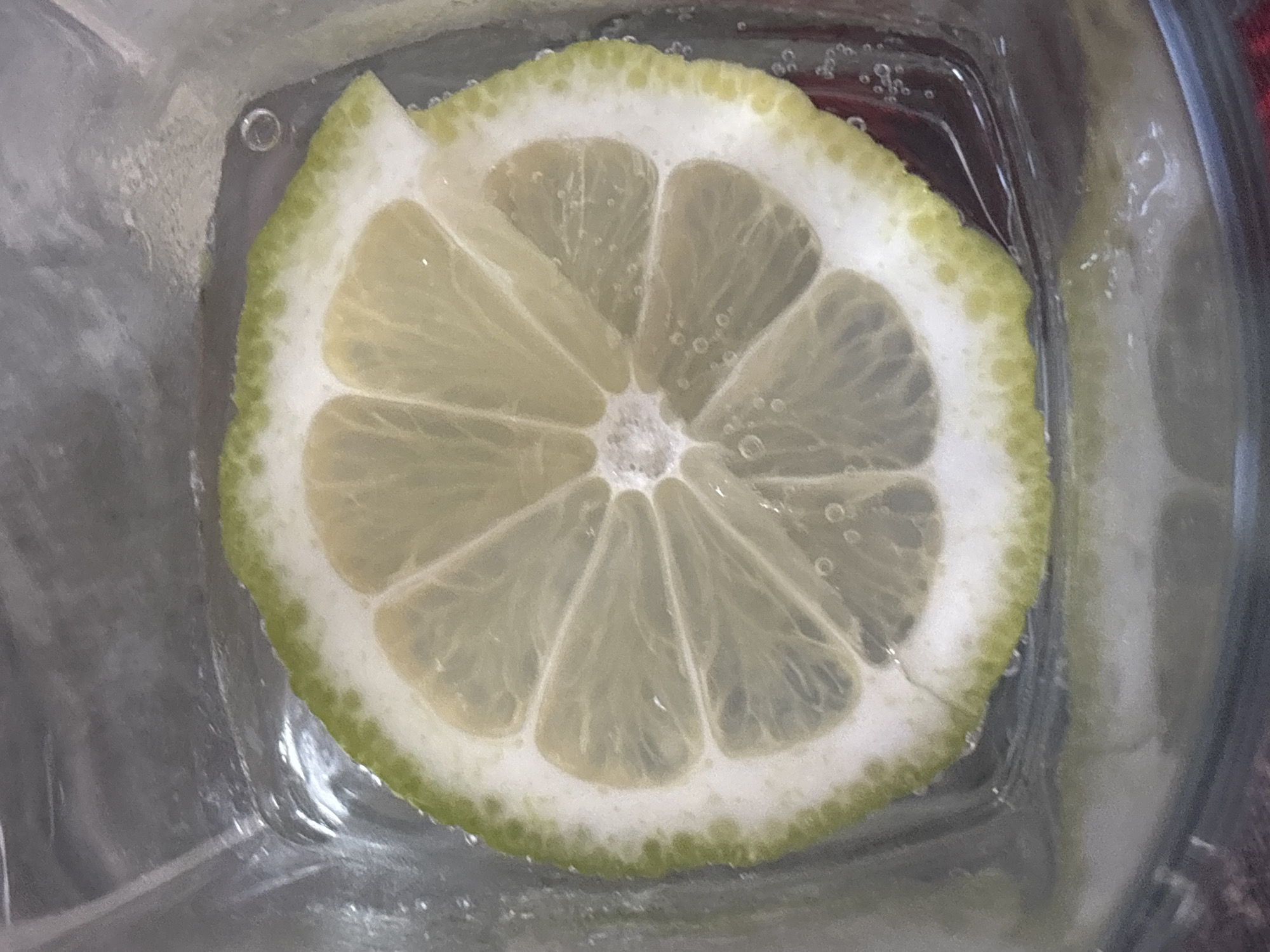 A close-up, eye-level shot depicts a single slice of lemon submerged in a glass of clear liquid, possibly water or a carbonated beverage. The lemon slice, featuring eight segments and a pale yellow hue, exhibits a green and white rind speckled with small air bubbles. The glass appears to be square-shaped and the liquid clarity is partially obscured by the presence of small bubbles adhering to the lemon and glass surfaces. The specific location of the scene in Sofia, Bulgaria is not discernible from the visual information provided.