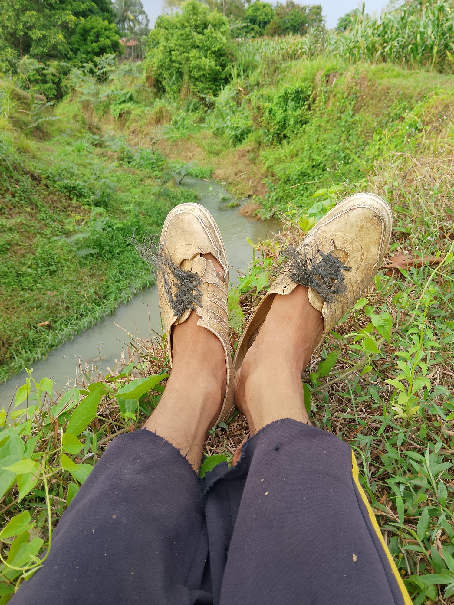 A pair of worn, light brown canvas shoes with frayed black laces are on the feet of a person sitting with legs crossed in a natural setting. The person is wearing dark blue pants with a yellow stripe down the side. The background is a lush green landscape with a small, murky stream flowing through it, bordered by dense vegetation including trees and what appears to be a cornfield. The scene is outdoors, with natural lighting suggesting daytime. The location is identified as Unknown, Indonesia.