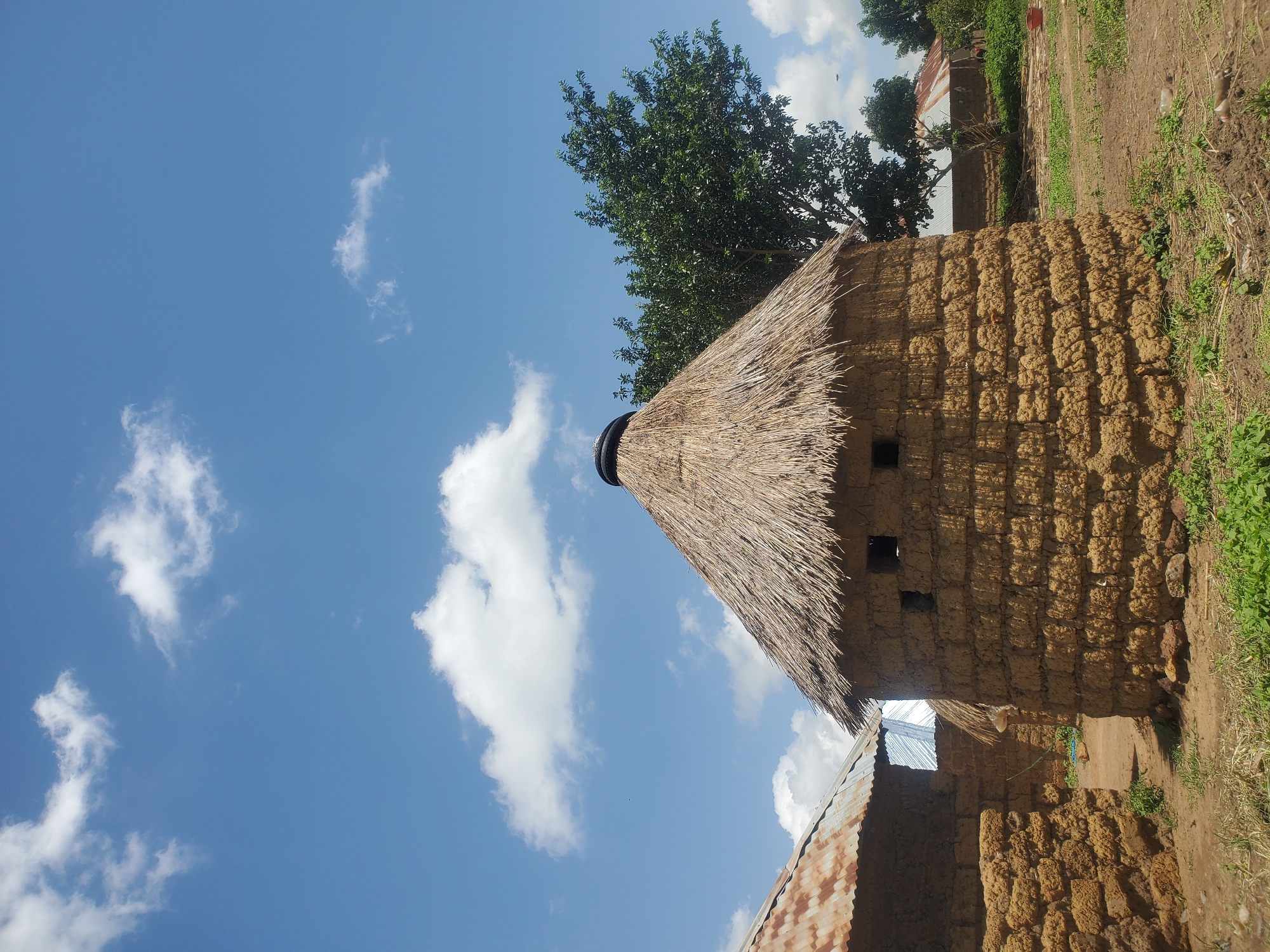 The image depicts a rural scene in Wumat Central, Nigeria. In the foreground, a circular, thatched-roof structure made of mud bricks stands prominently. The structure has small square openings that serve as windows. To the left, another mud-brick building with a corrugated metal roof is partially visible. Behind these structures, a large, leafy tree shades the area, and further in the background, more buildings with corrugated metal roofs and vegetation can be seen. The sky is a bright blue, dotted with scattered white clouds. The ground is dry and dusty, with patches of green grass and some scattered debris. The overall impression is of a humble, traditional dwelling in a sunny, outdoor environment.