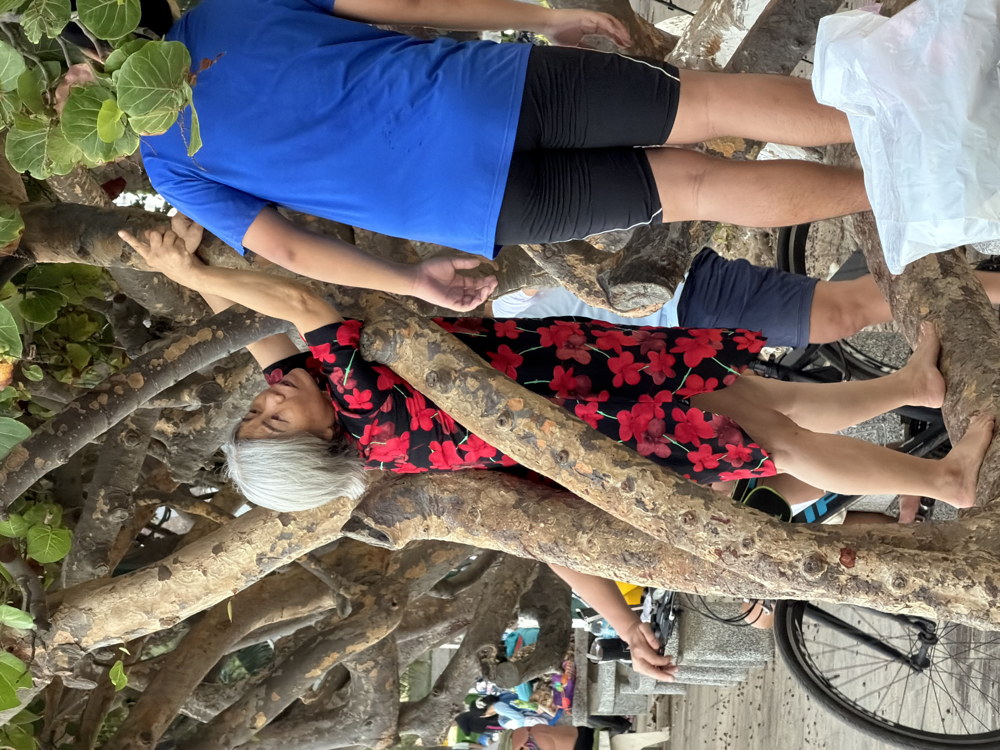 In Nha Trang, Vietnam, on a beach, two individuals are seen interacting amidst the exposed roots of a large tree. A woman with gray hair, wearing a black dress with red floral patterns, is perched on a tree root, looking upwards and gesturing with her right hand. Beside her, a person wearing a blue t-shirt and black shorts stands. A bicycle with a black frame and spokes is visible to the left, its wheel partially obscured by the tree's roots. In the background, other people are present, some sitting on benches and others standing, indicating a public area. The ground is covered with sand and debris. A white plastic bag is placed in the foreground.