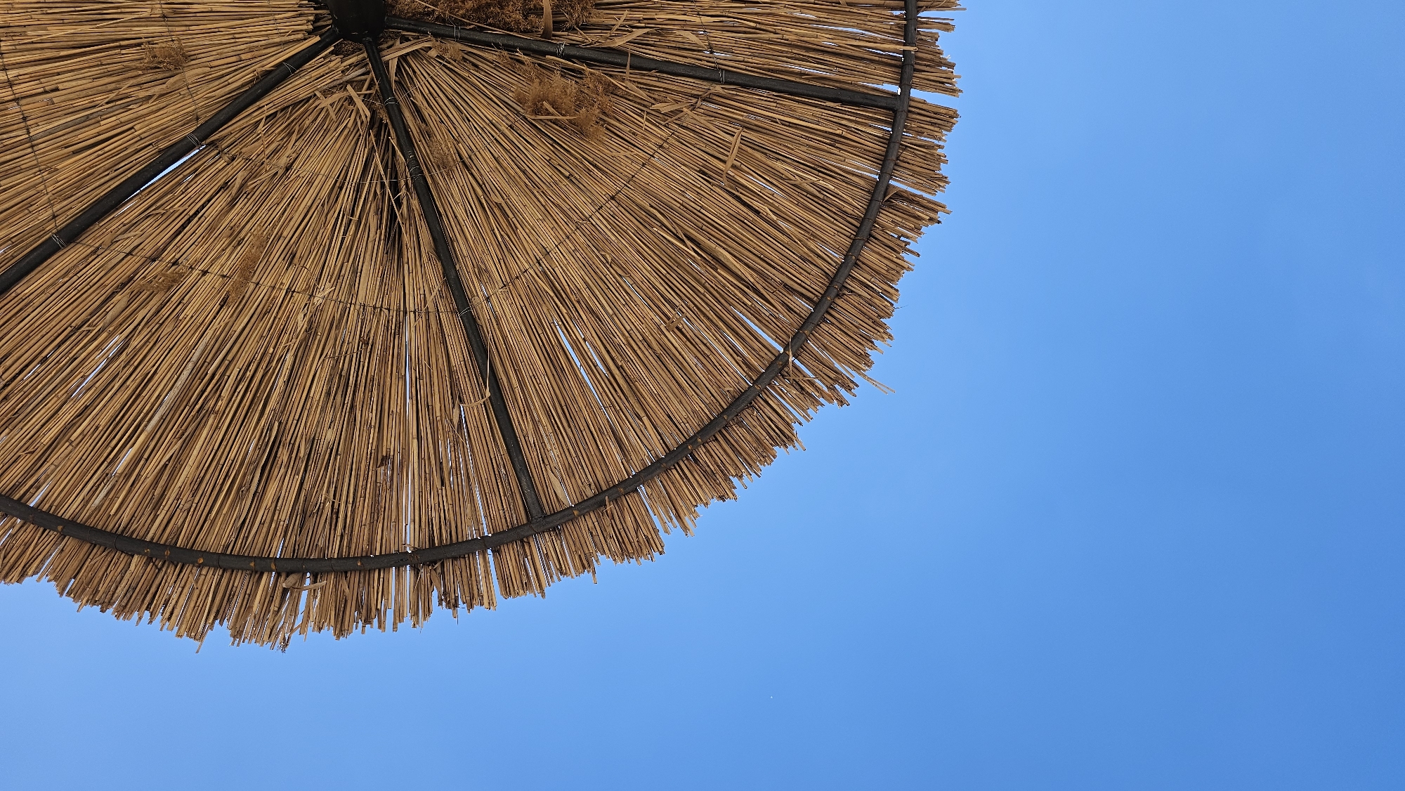 The image shows a low-angle view of a beach umbrella made of straw or reeds against a bright blue sky. The umbrella occupies the upper left portion of the frame, with the sky filling the remaining space. The umbrella is constructed with dark metal support beams and a circular frame. The straw material appears dry and weathered. It is a sunny day with no clouds visible. This scene is likely taken at a beach in Varna, Bulgaria, as this type of umbrella is common in beachside resorts.