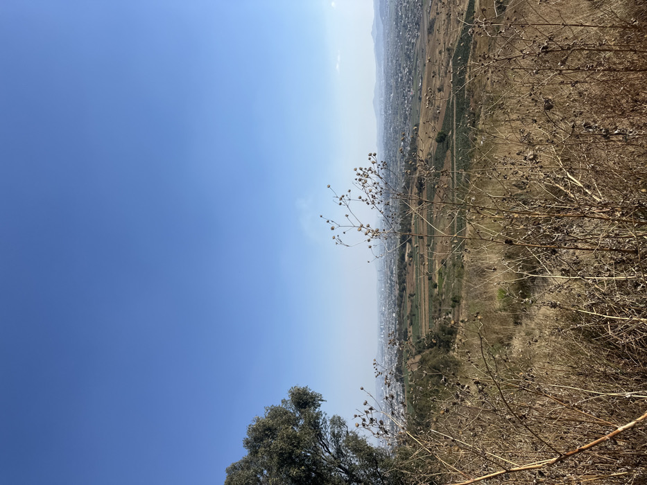 The image presents a view from a high vantage point. The sky takes up most of the frame, transitioning from a deep blue to a lighter shade near the horizon. A wide valley stretches out, with a mix of buildings and agricultural fields visible. The foreground features dry, brown vegetation, adding texture to the landscape. A small tree is situated at the bottom left.