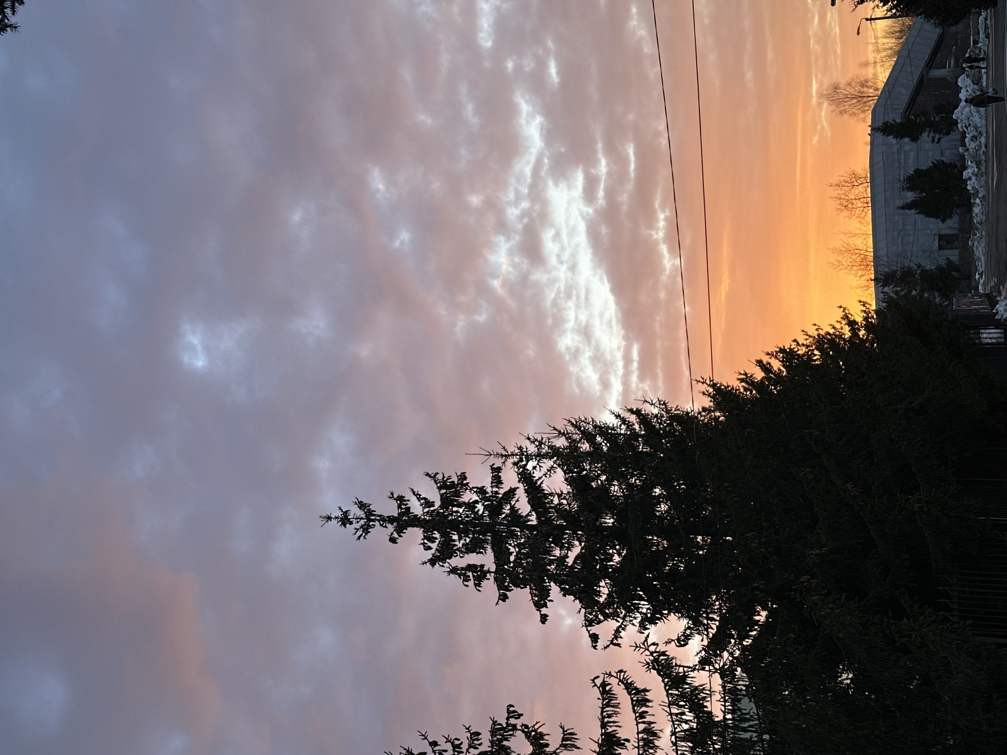 The image shows a view of the sky at sunset in Iksha, Russia. The sky is filled with clouds, with shades of purple, pink, orange, and white. Silhouetted evergreen trees are in the foreground. Buildings are also silhouetted in the background. Power lines stretch across the sky. Patches of snow are visible.