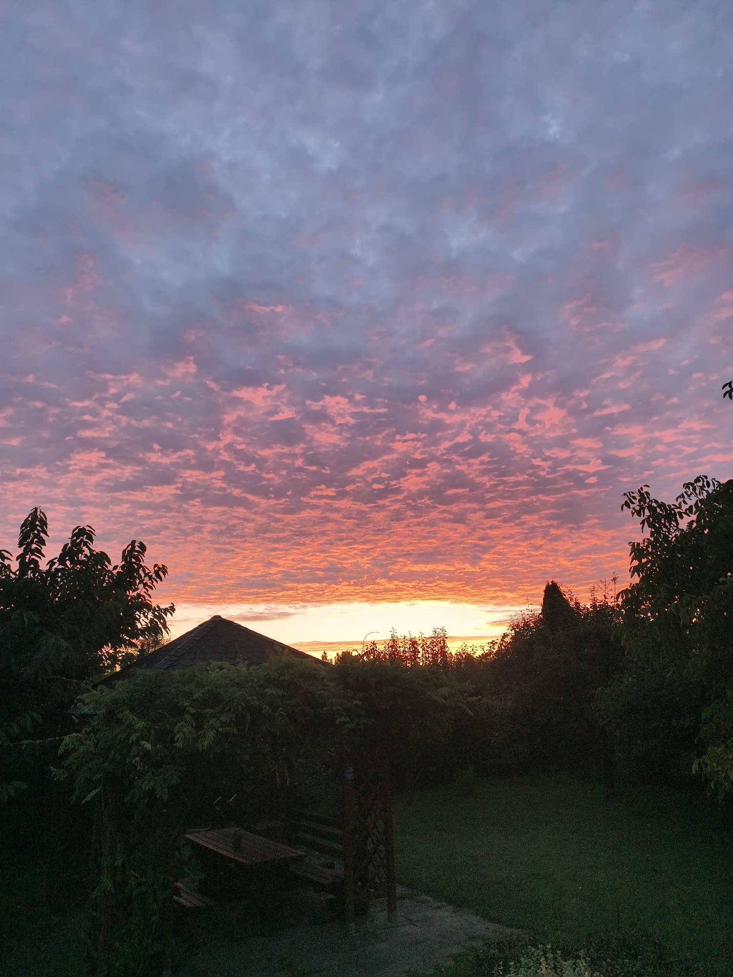 The image depicts a backyard scene at dusk in Tczew, Poland. The sky is filled with scattered clouds, tinged with pink and orange from the setting sun. In the foreground, dark silhouettes of trees and foliage frame a small, dark garden with a lawn. A dark, hexagonal-roofed structure, possibly a gazebo or small shed, is visible amidst the greenery. A wooden picnic table with benches is partially obscured by dense vegetation in front of the structure. The overall impression is one of a peaceful, natural environment at the end of the day.