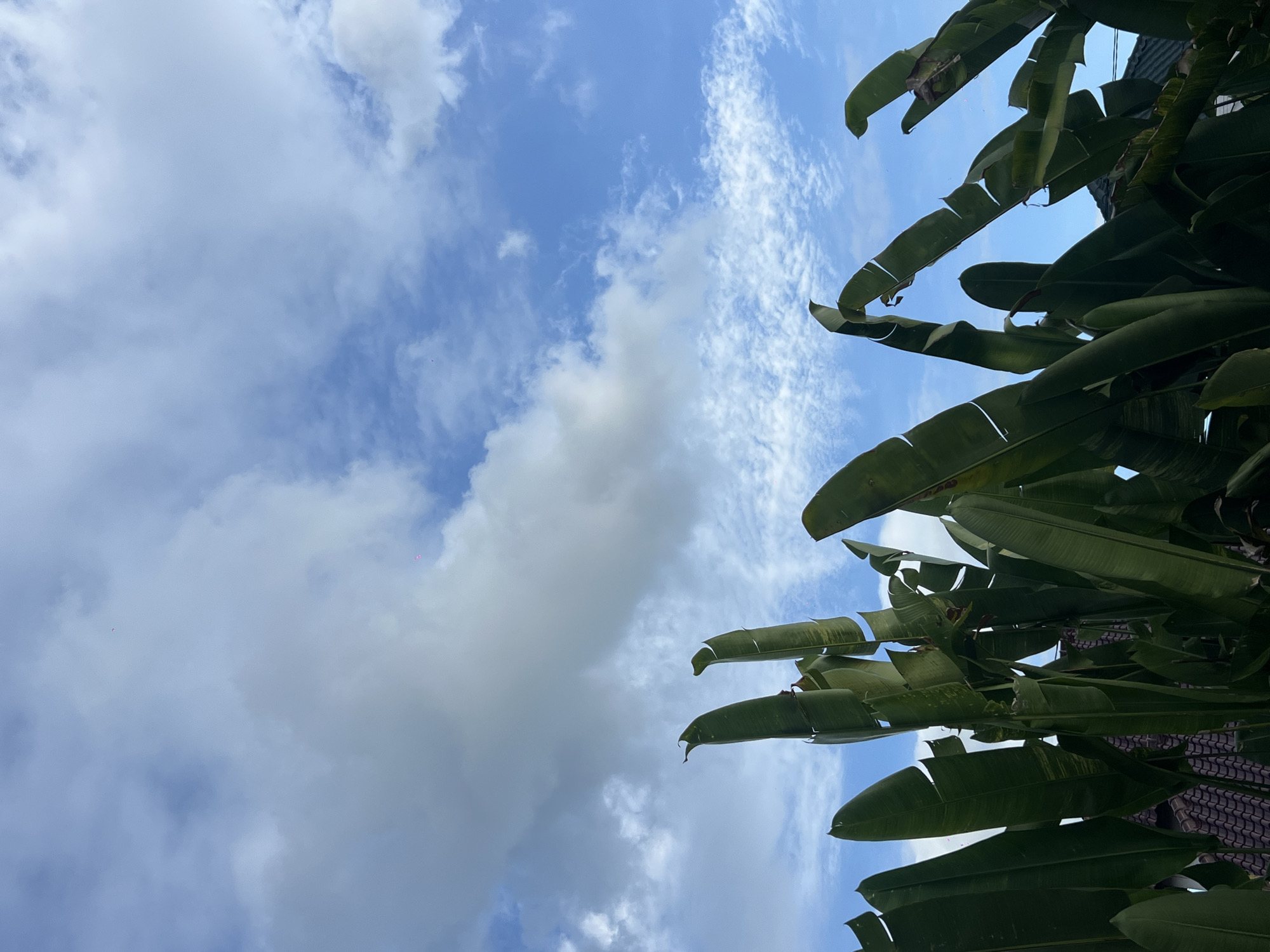 The image is taken from below, angled upwards to capture a view of the sky partially obscured by green foliage. Wispy and puffy clouds are scattered across a blue sky. The foliage, likely tropical plants, fills the upper right portion of the frame. Based on the city, the location is North Kuta, Indonesia.